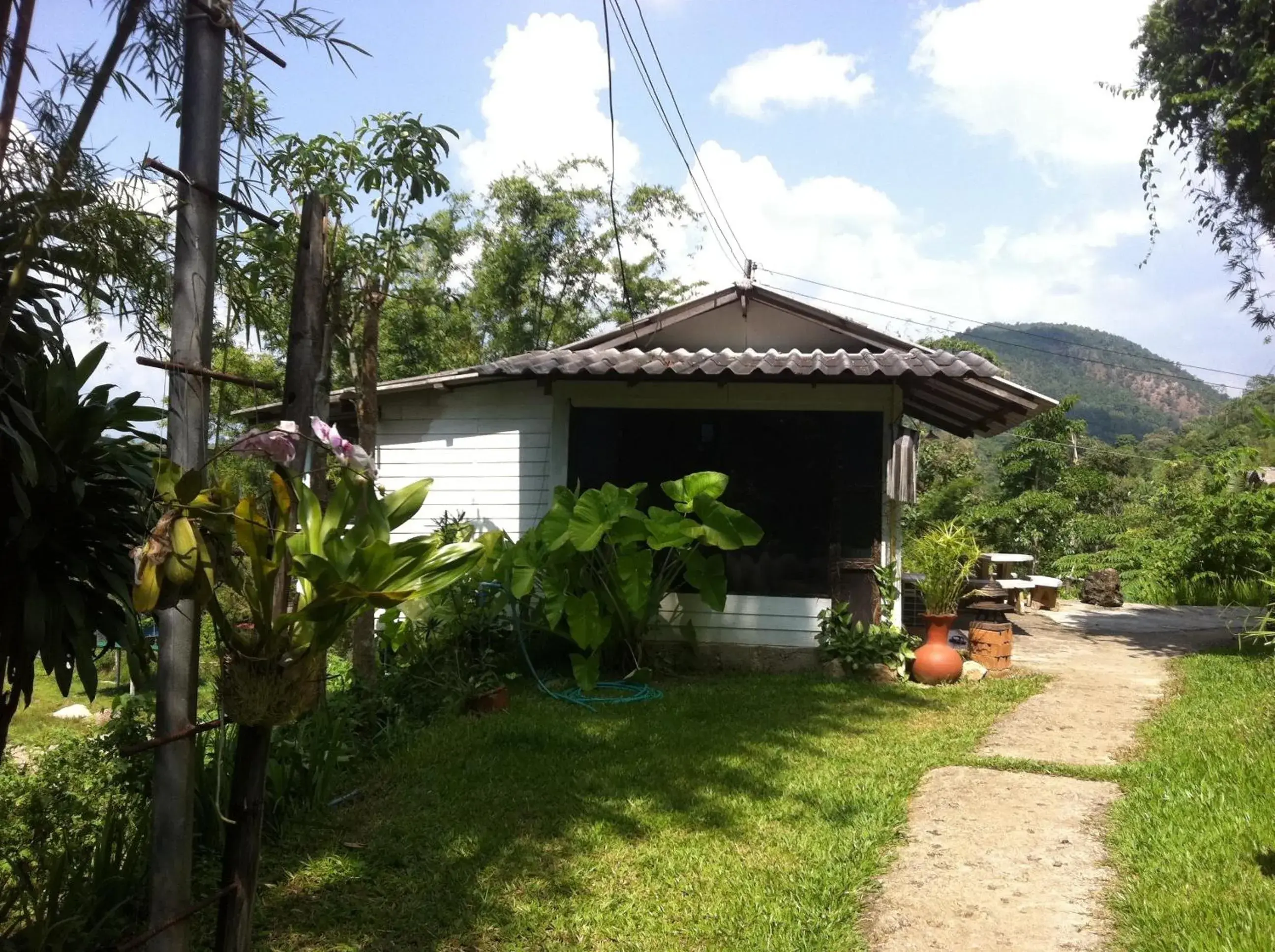 Property Building in Chang Pai Resort