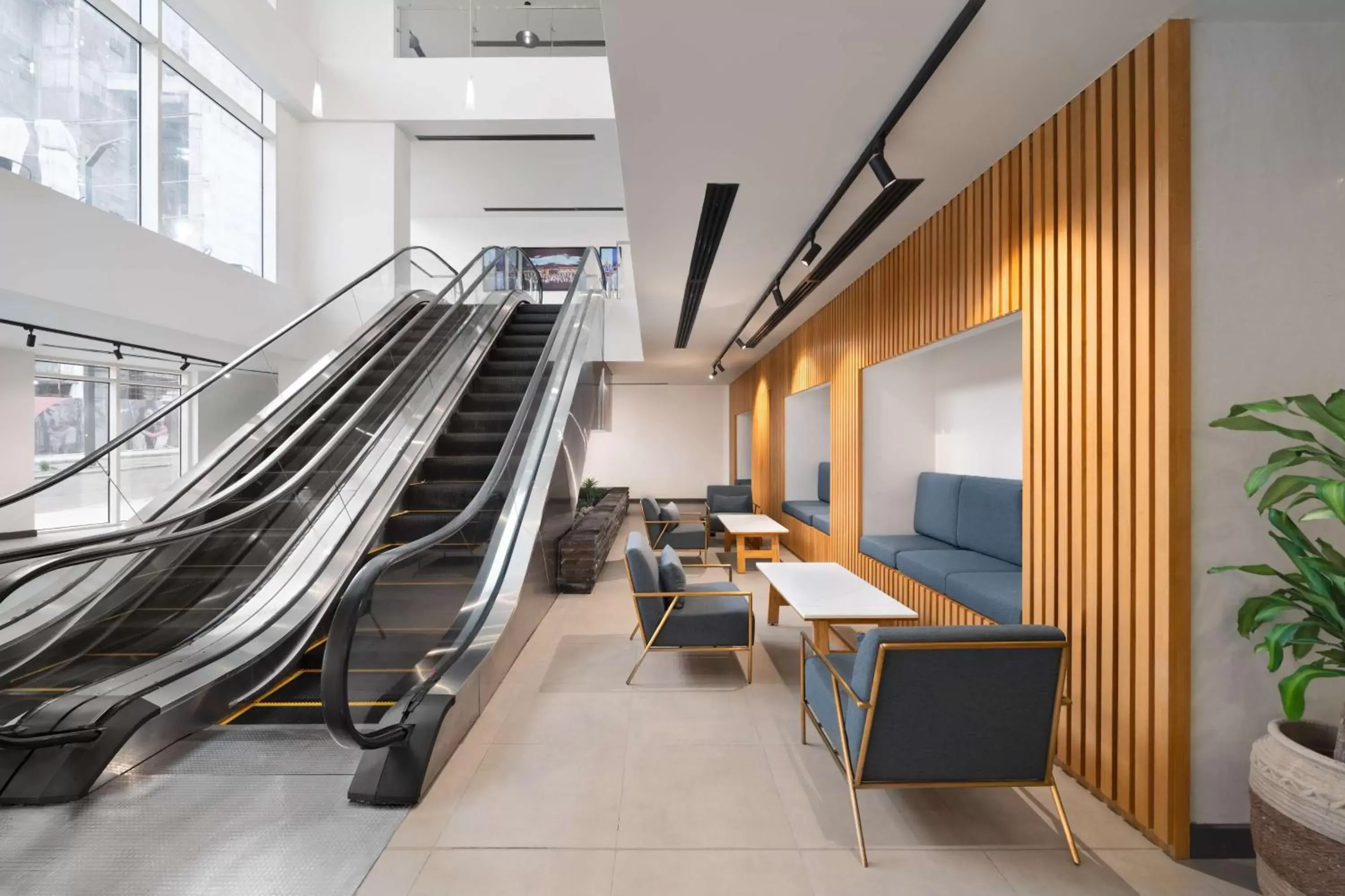 Lobby or reception in Radisson Blu Hotel, Ordu Lobby or reception in Radisson Blu Hotel, Ordu