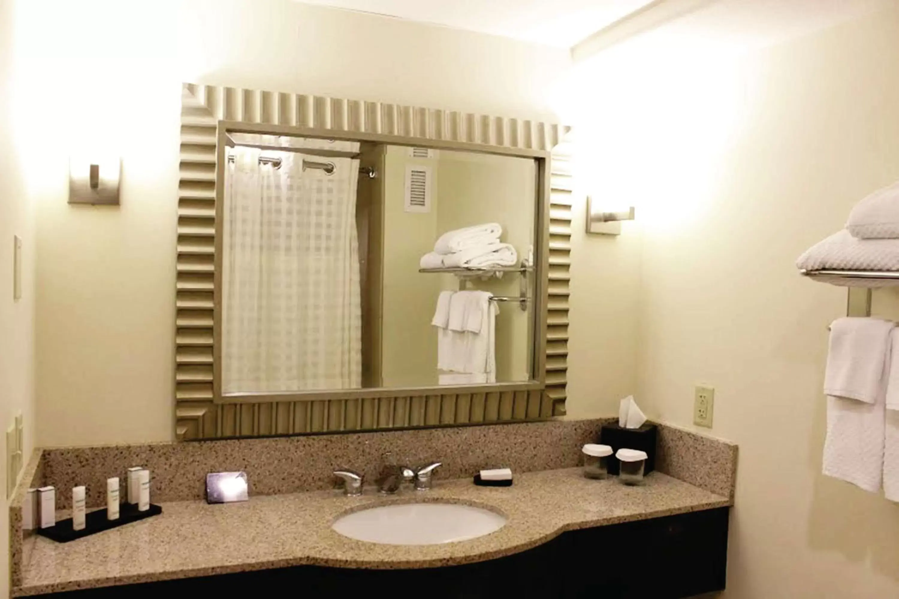 Bathroom in Embassy Suites by Hilton Laredo