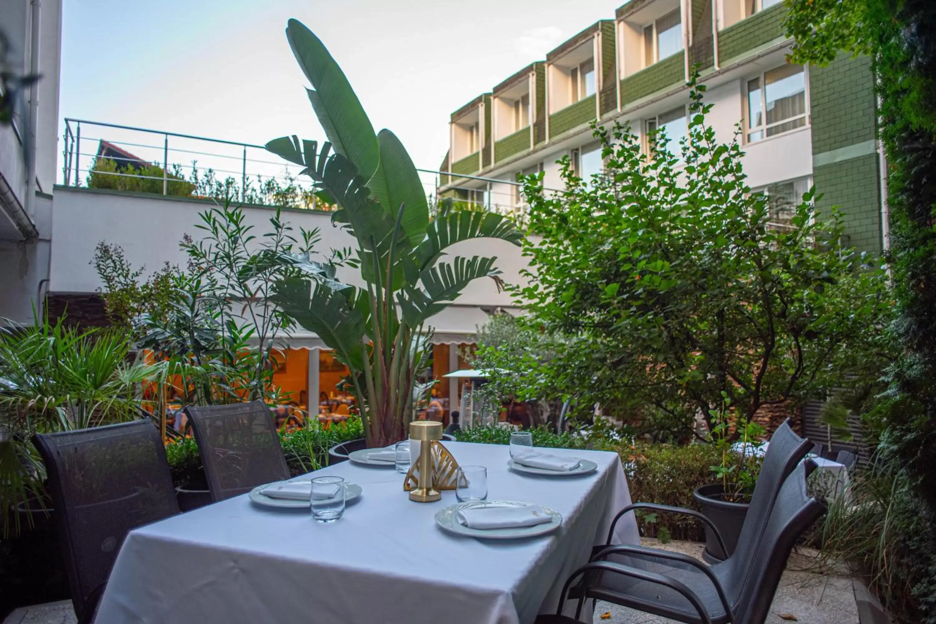 Dining area, Restaurant/Places to Eat in Hotel Carpathia