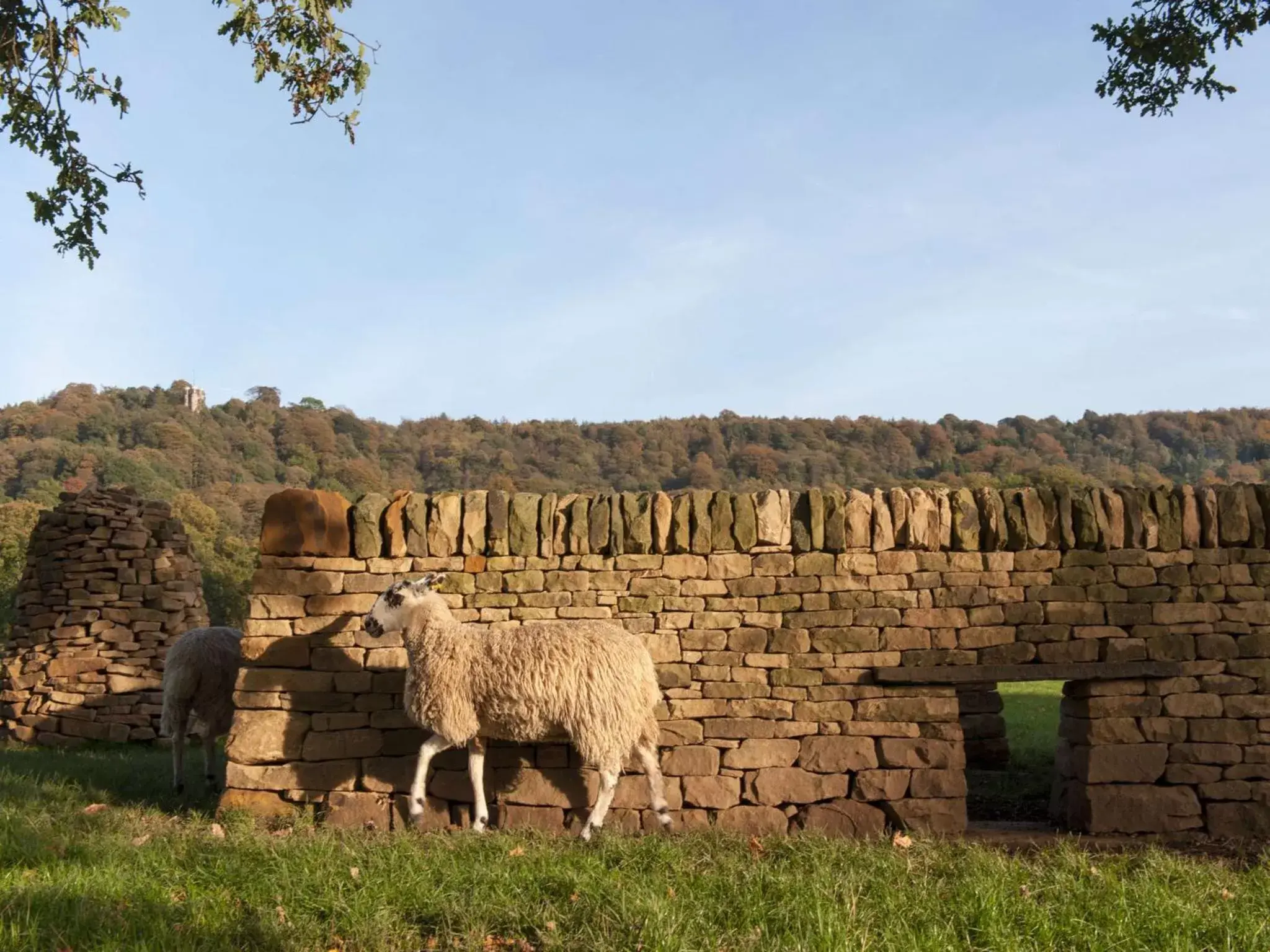 Animals in Wheatsheaf, Baslow by Marston's Inns