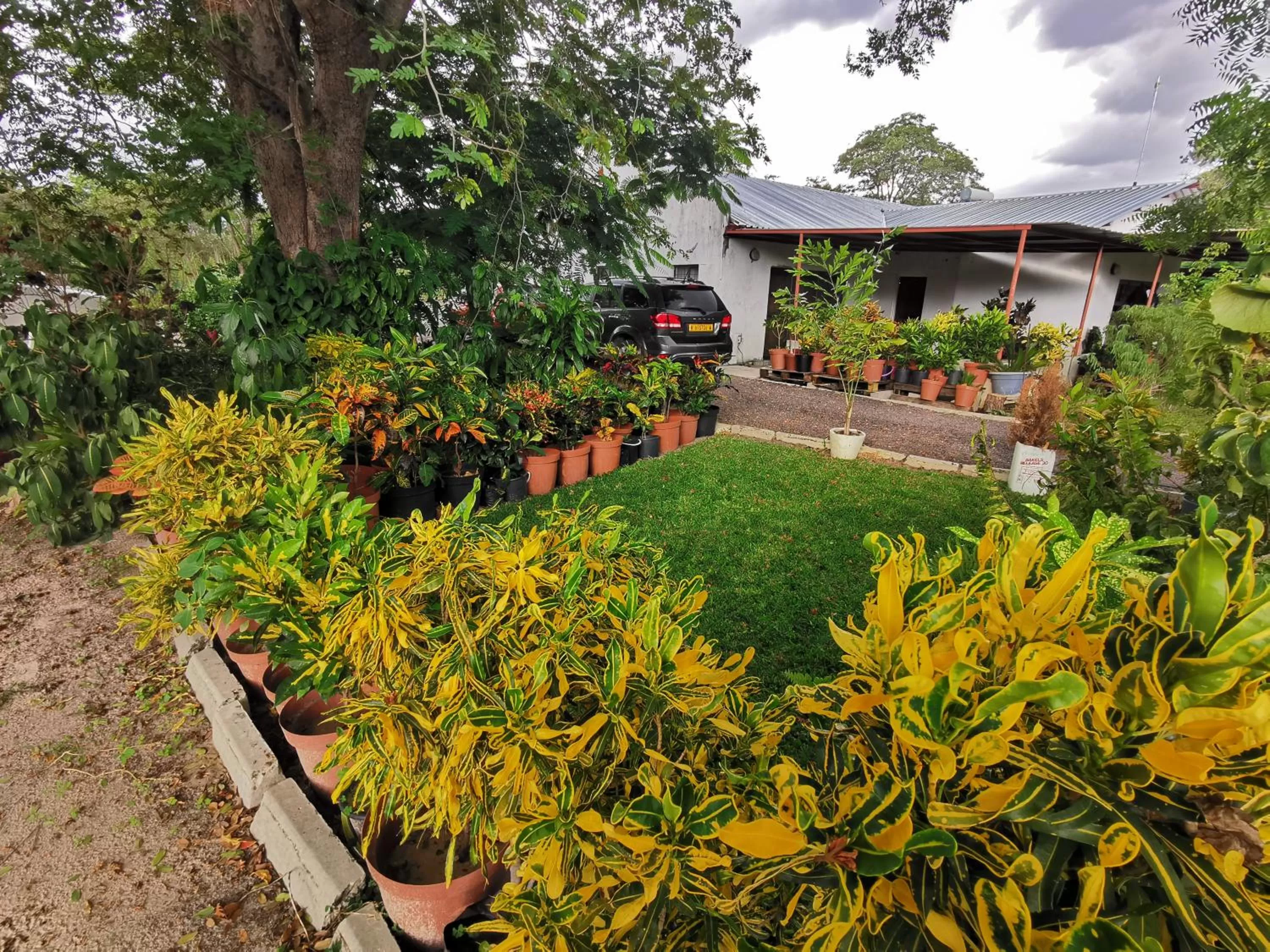 Property Building in Happy Forest B&B