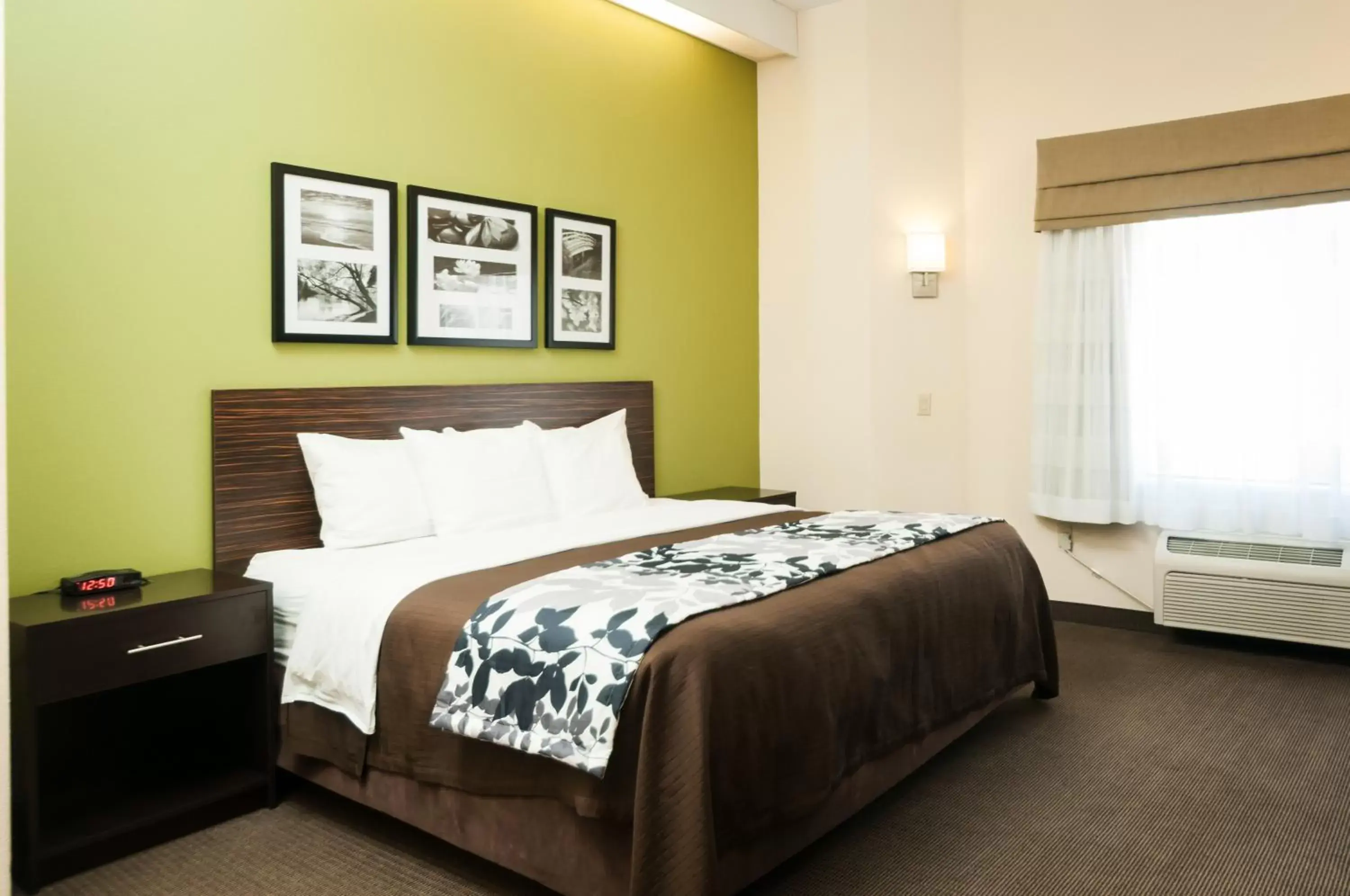 King Room - Non-Smoking in Sleep Inn and Suites Hagerstown