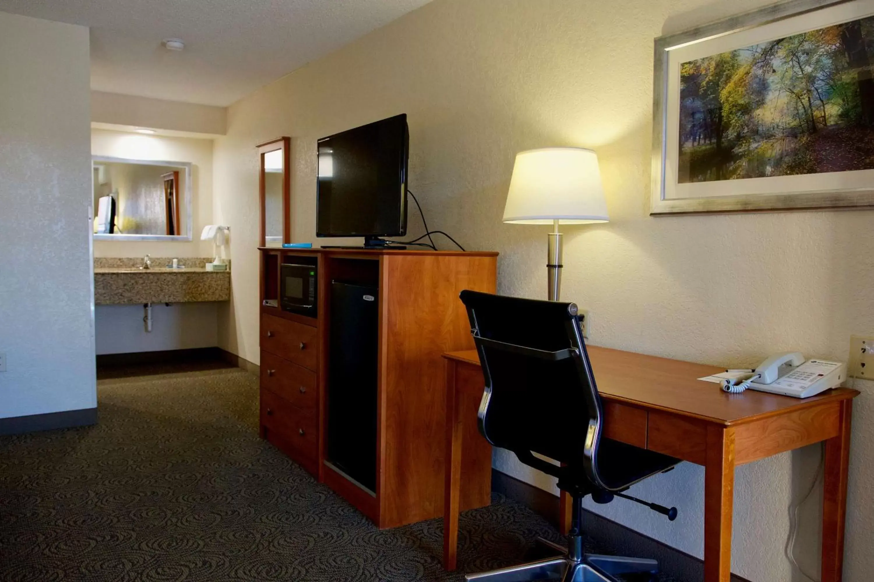 Bedroom, TV/Entertainment Center in Best Western Thunderbird Motel