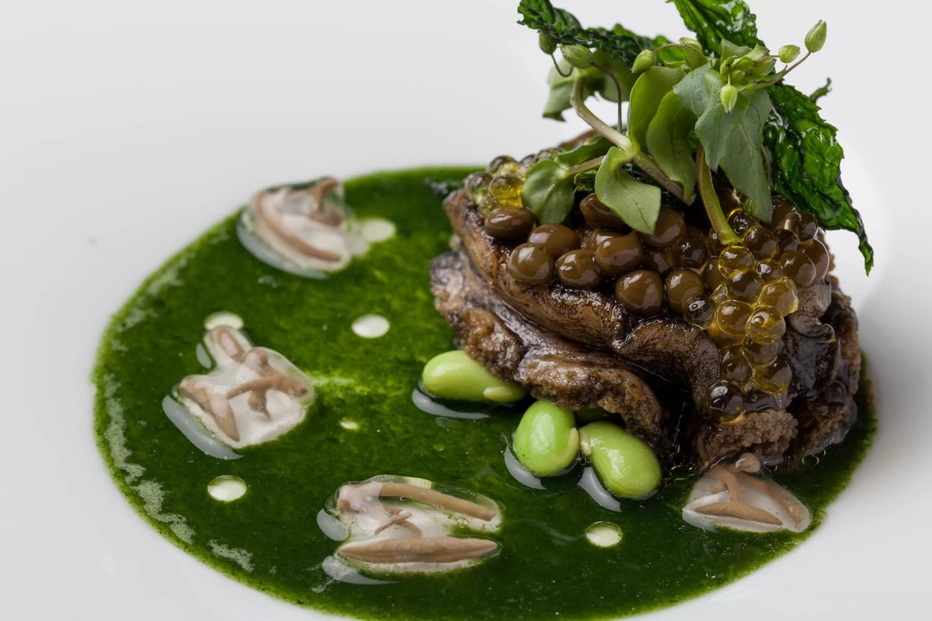 Dinner in Kobe Kitano Hotel