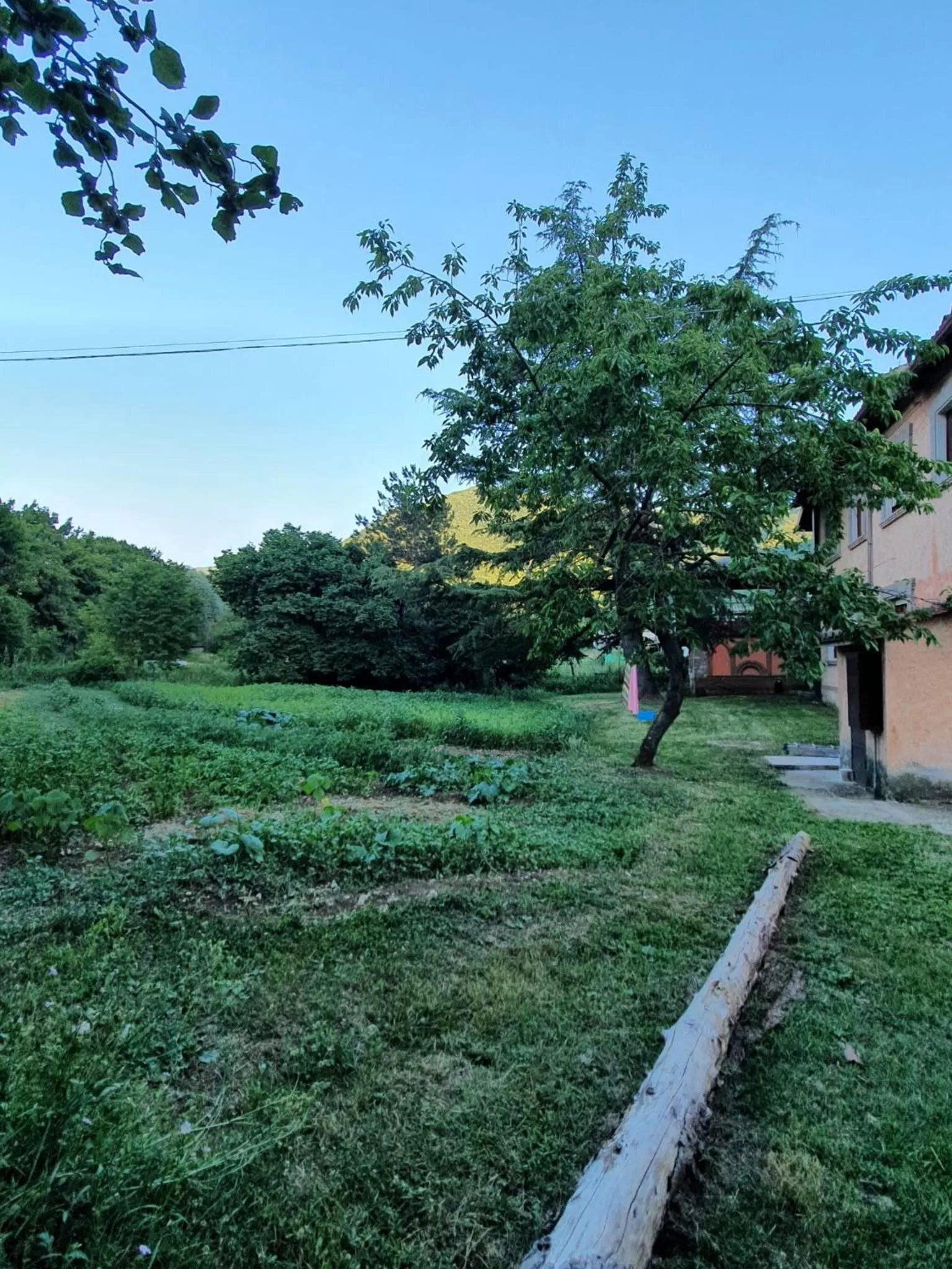 Garden in Le Calecatine