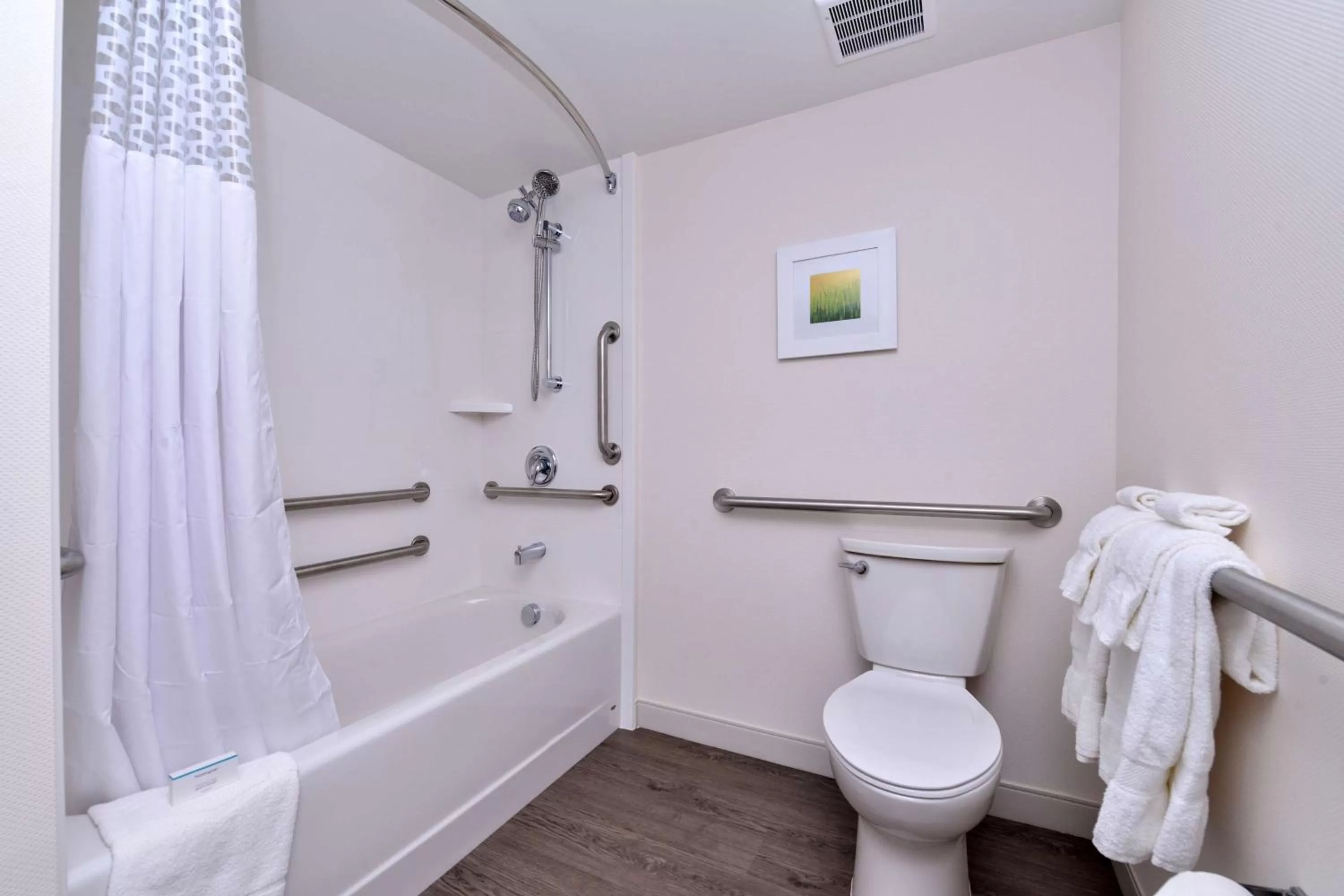 Bathroom in Hampton Inn Cartersville