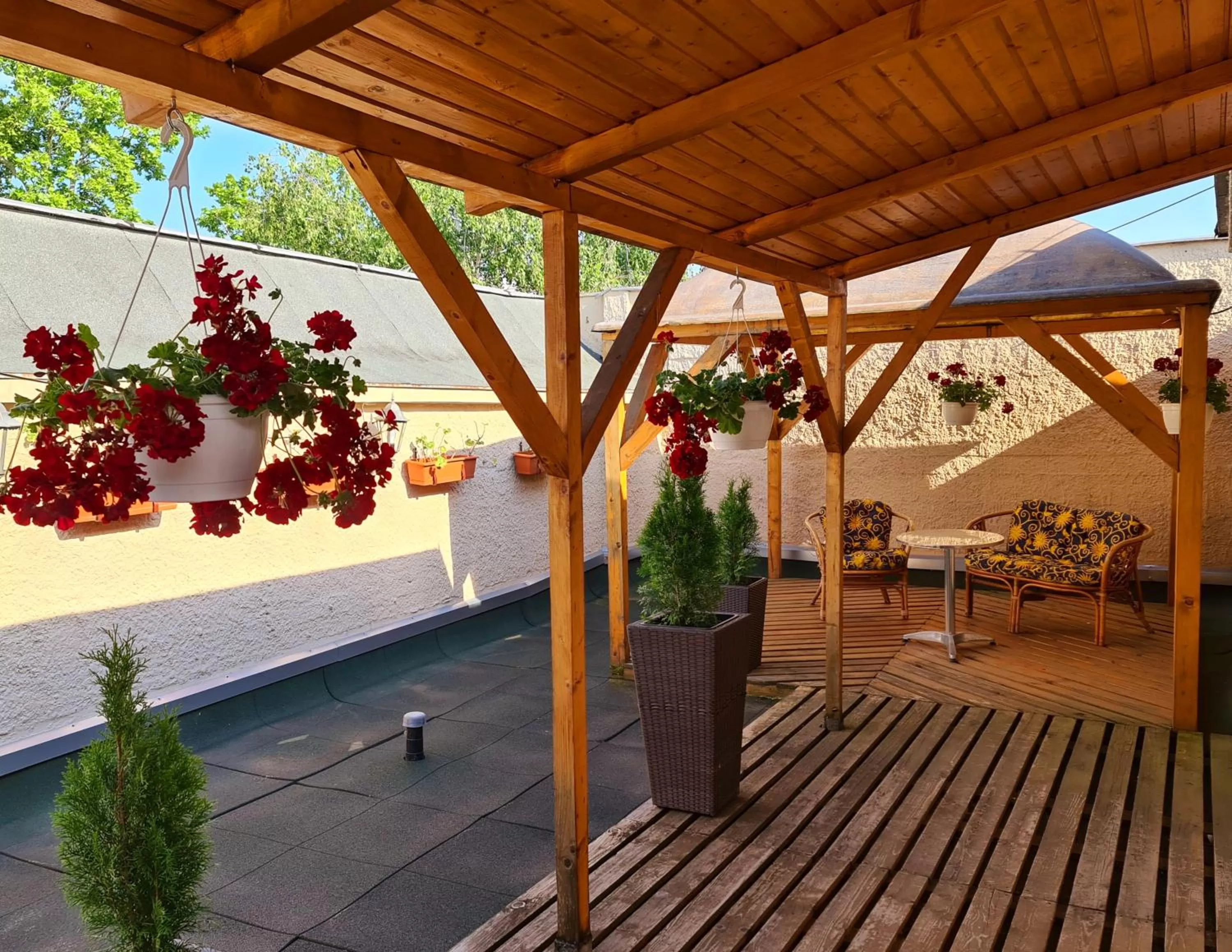 Patio in Petra Hotel