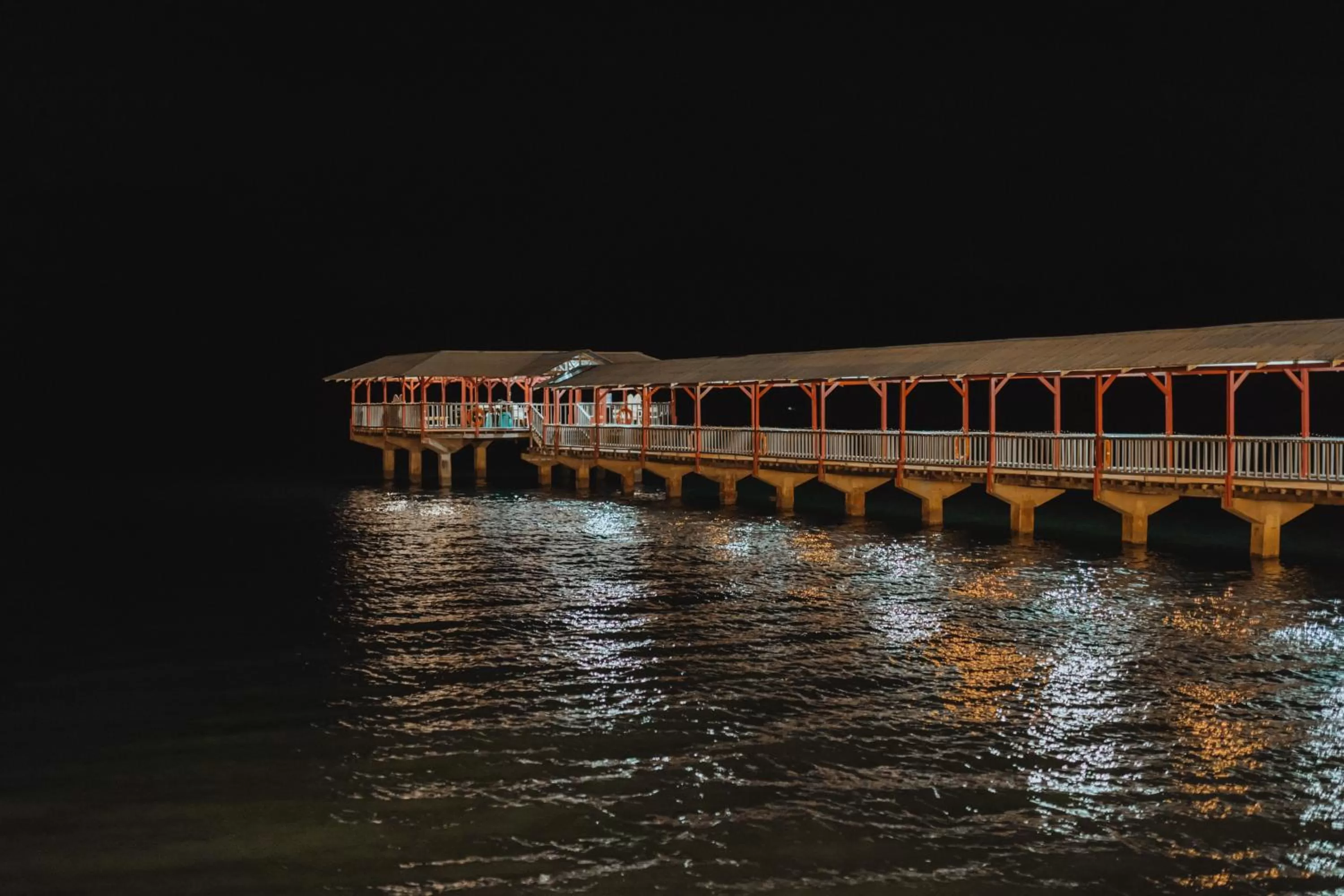 Coron Underwater Garden Resort