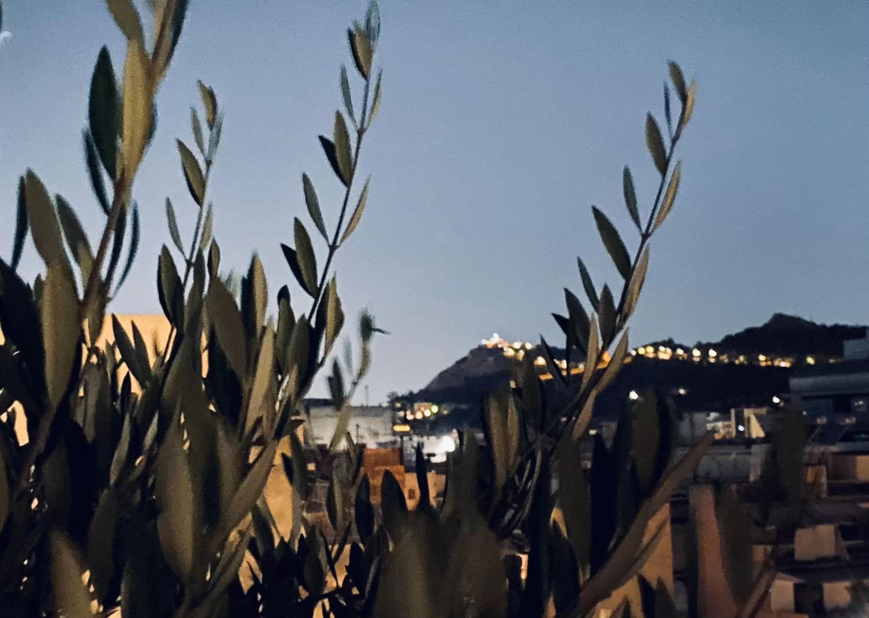 Night in Cottage Boutique Apartments Athens