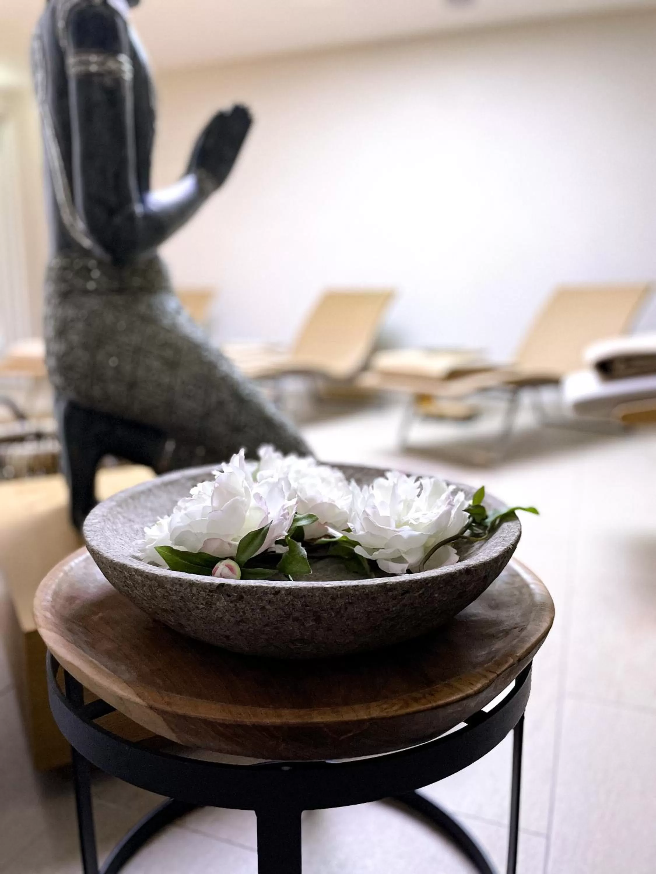 Spa and wellness centre/facilities in Hotel-Restaurant Anne-Sophie