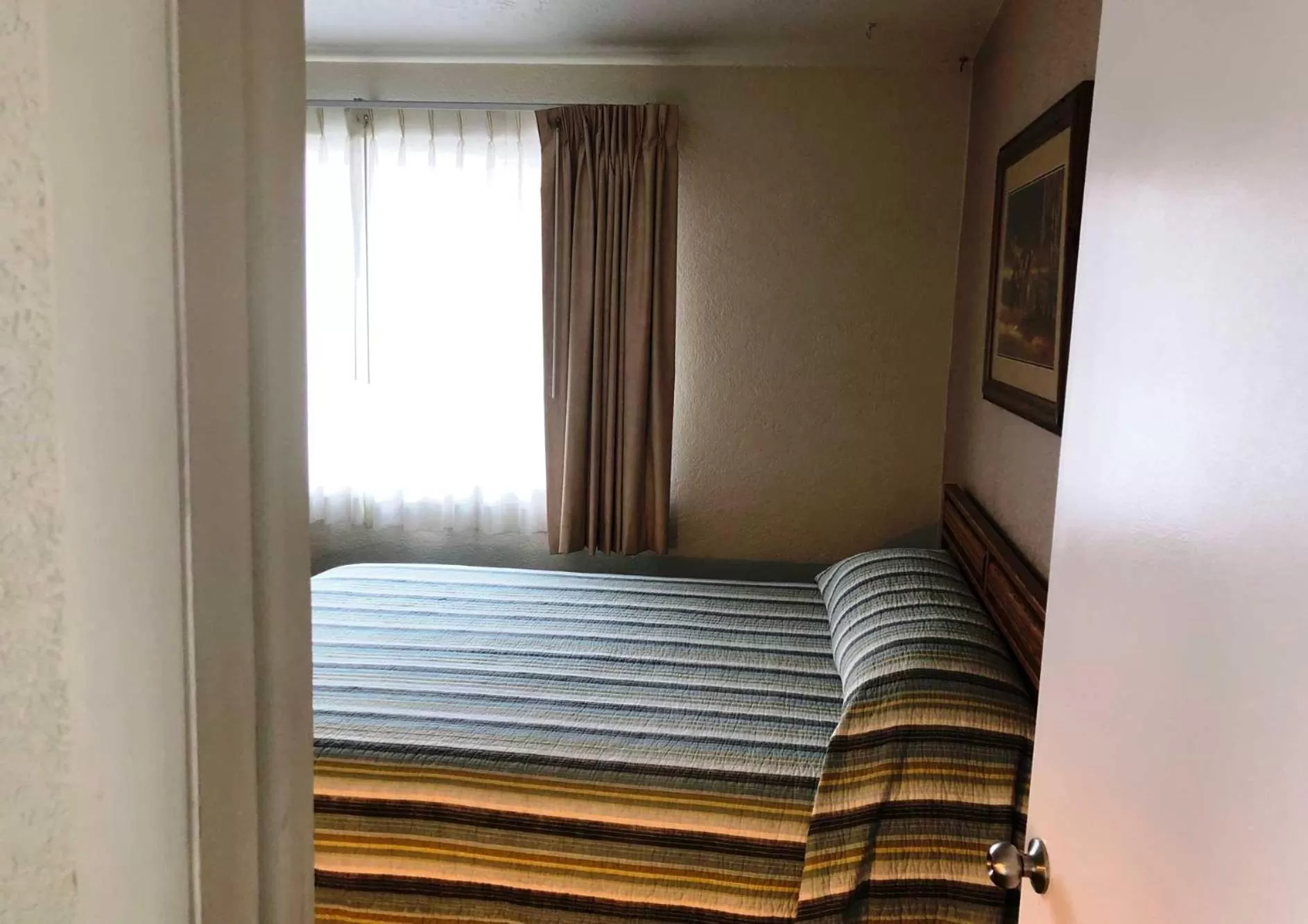 Bed in Bristlecone Motel