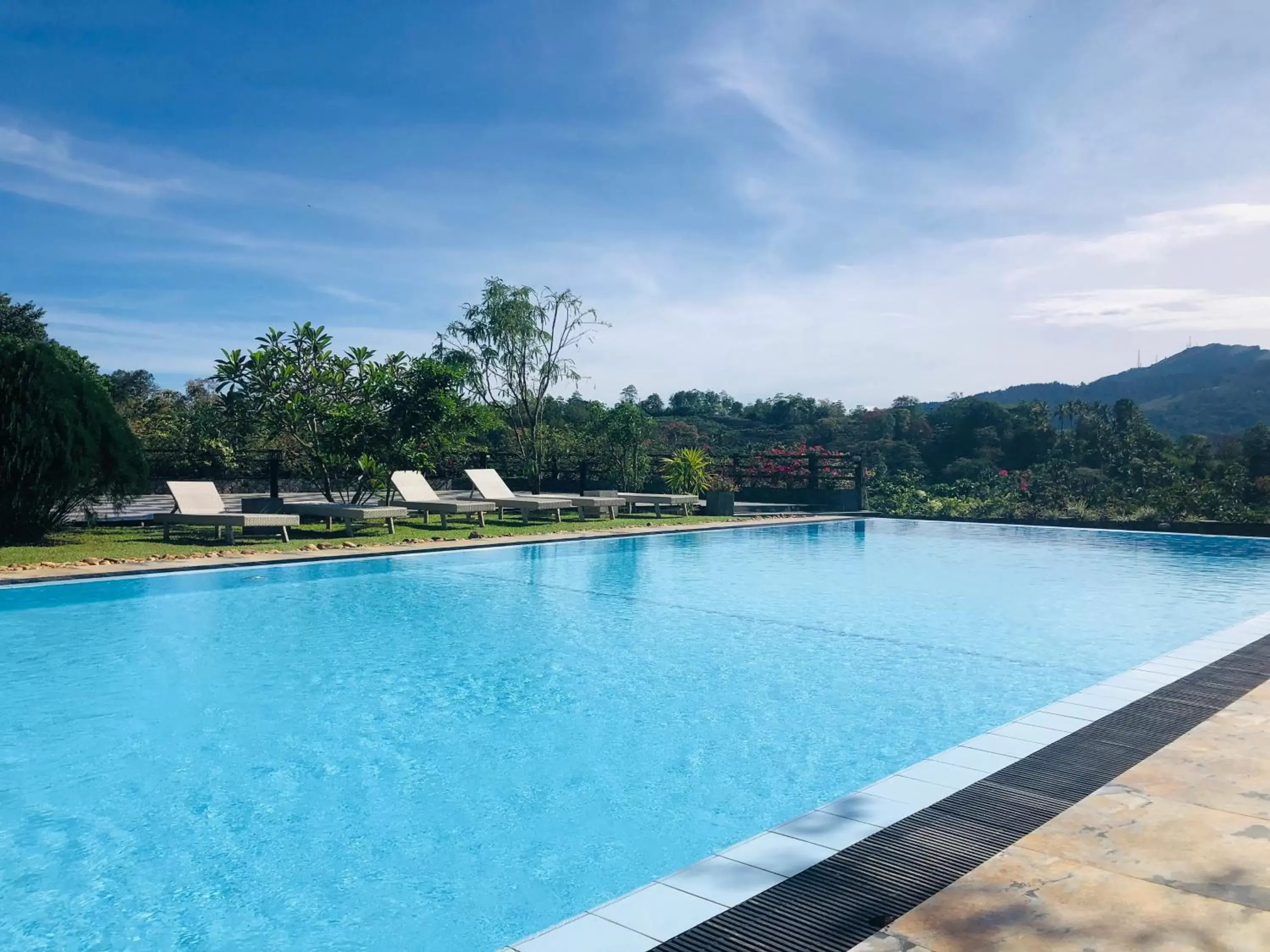 Swimming Pool in Elegant Hotel