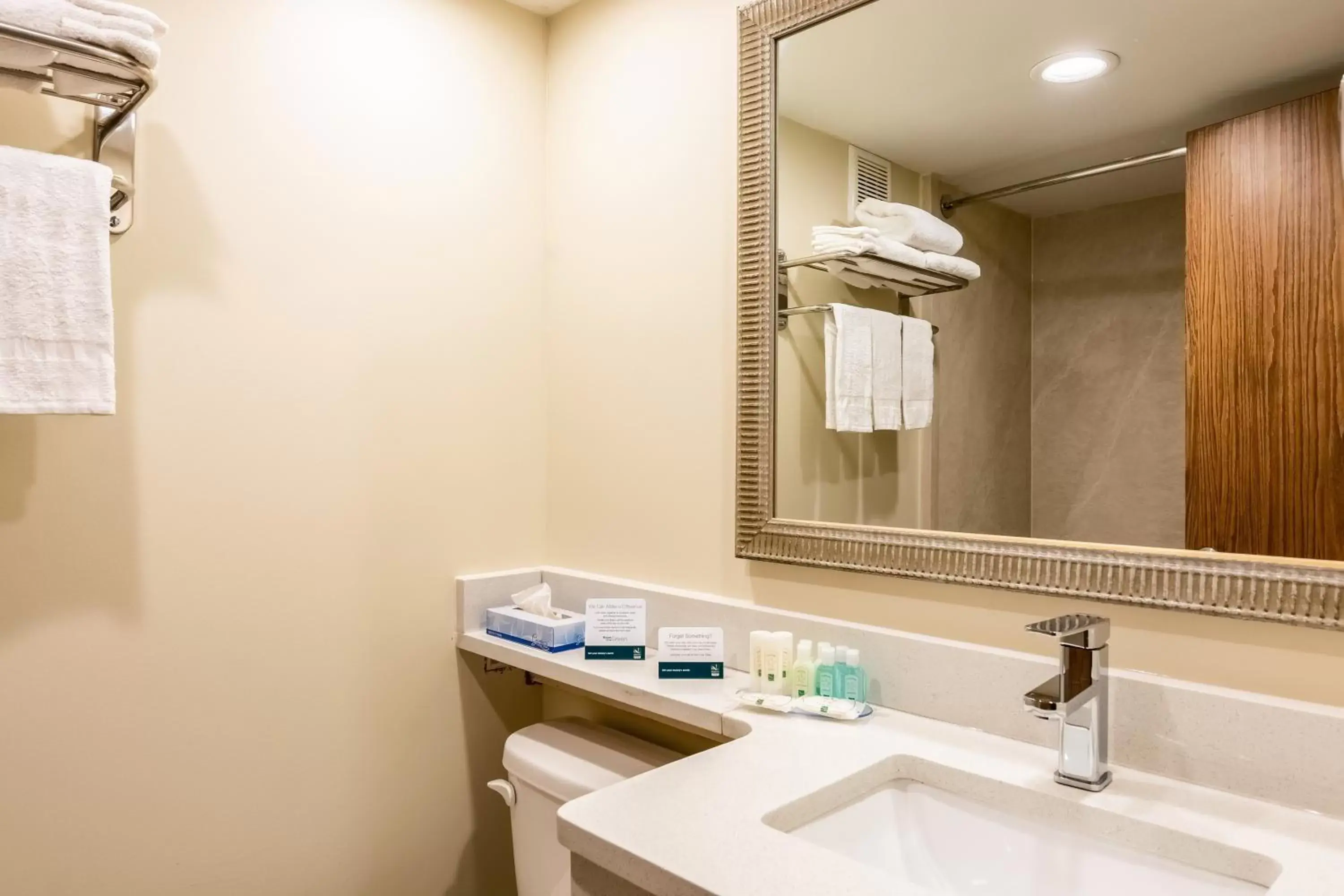 Double Room with Two Double Beds - Non-Smoking in Quality Inn Central Double Room with Two Double Beds - Non-Smoking in Quality Inn Central