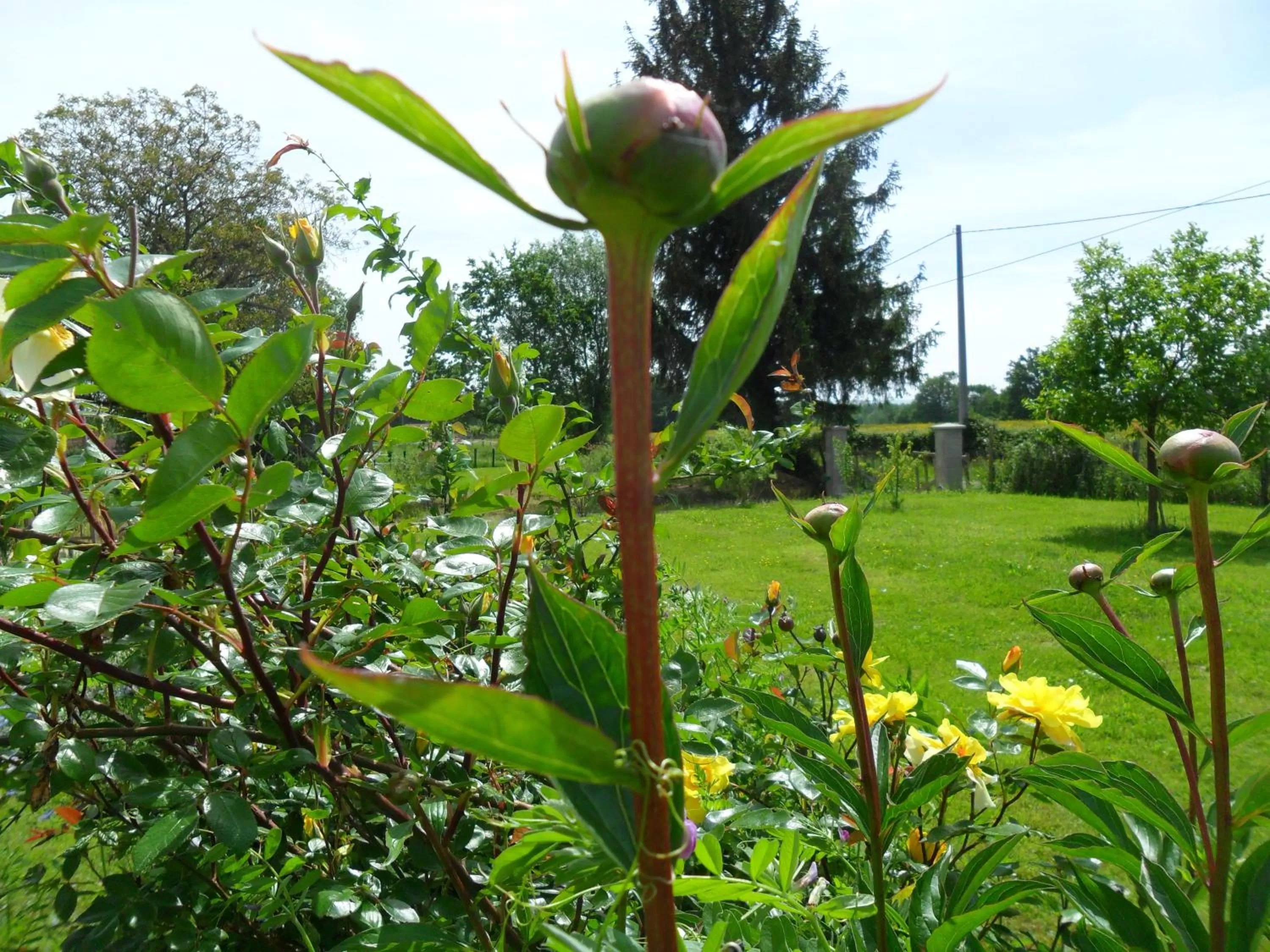 Patio in Aux Cadollines