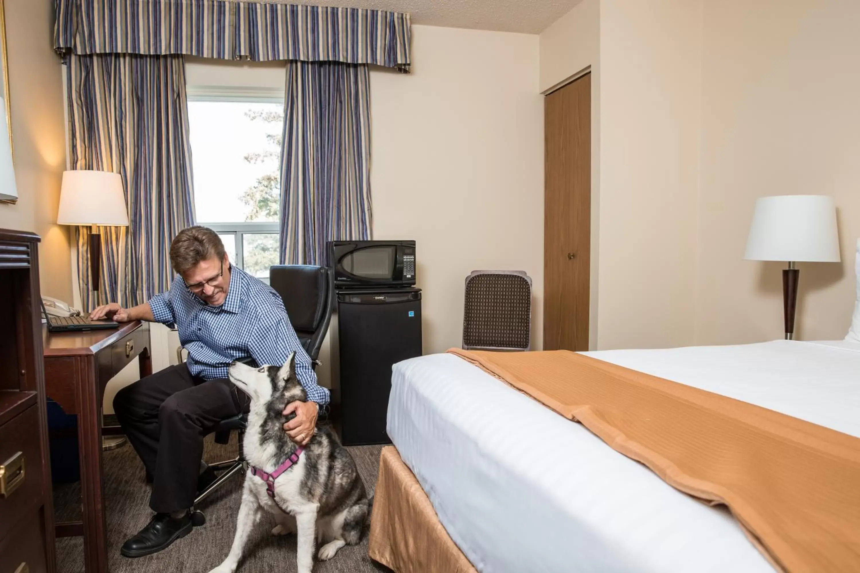 Pets in Travelodge by Wyndham Edmonton South