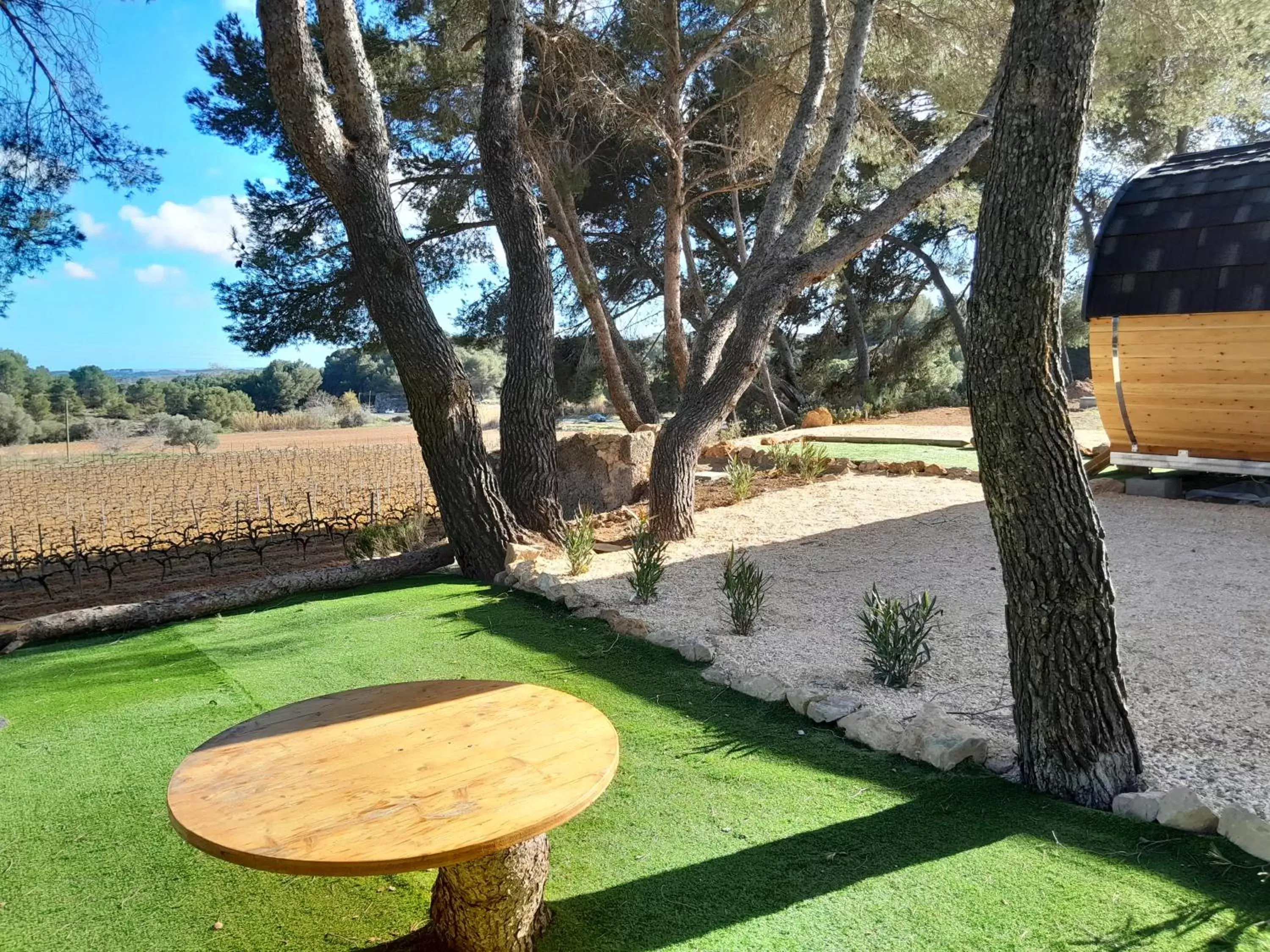 Garden in Hotel Les Rocailles