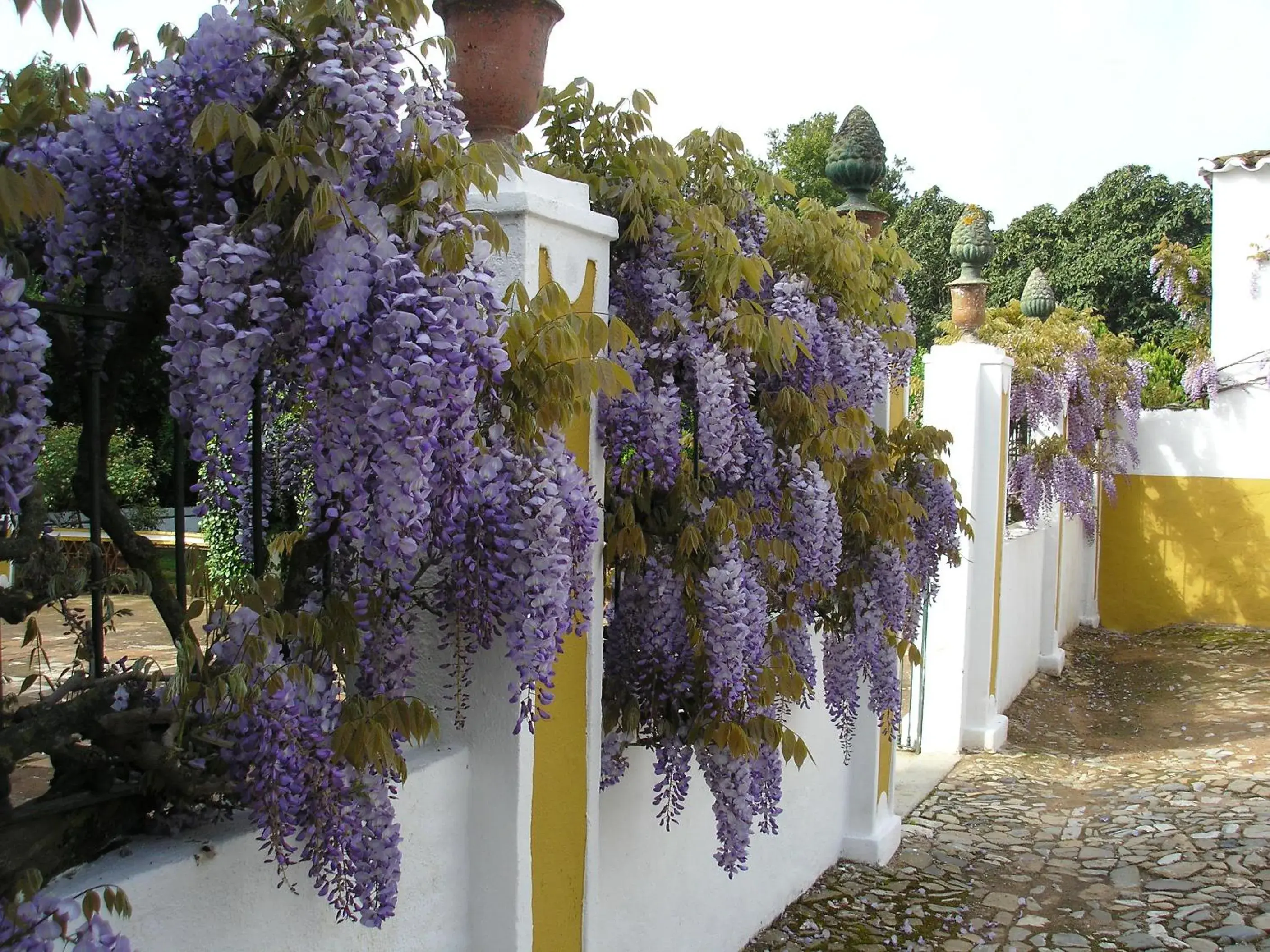 Garden in Hotel Rural Quinta de Santo Antonio