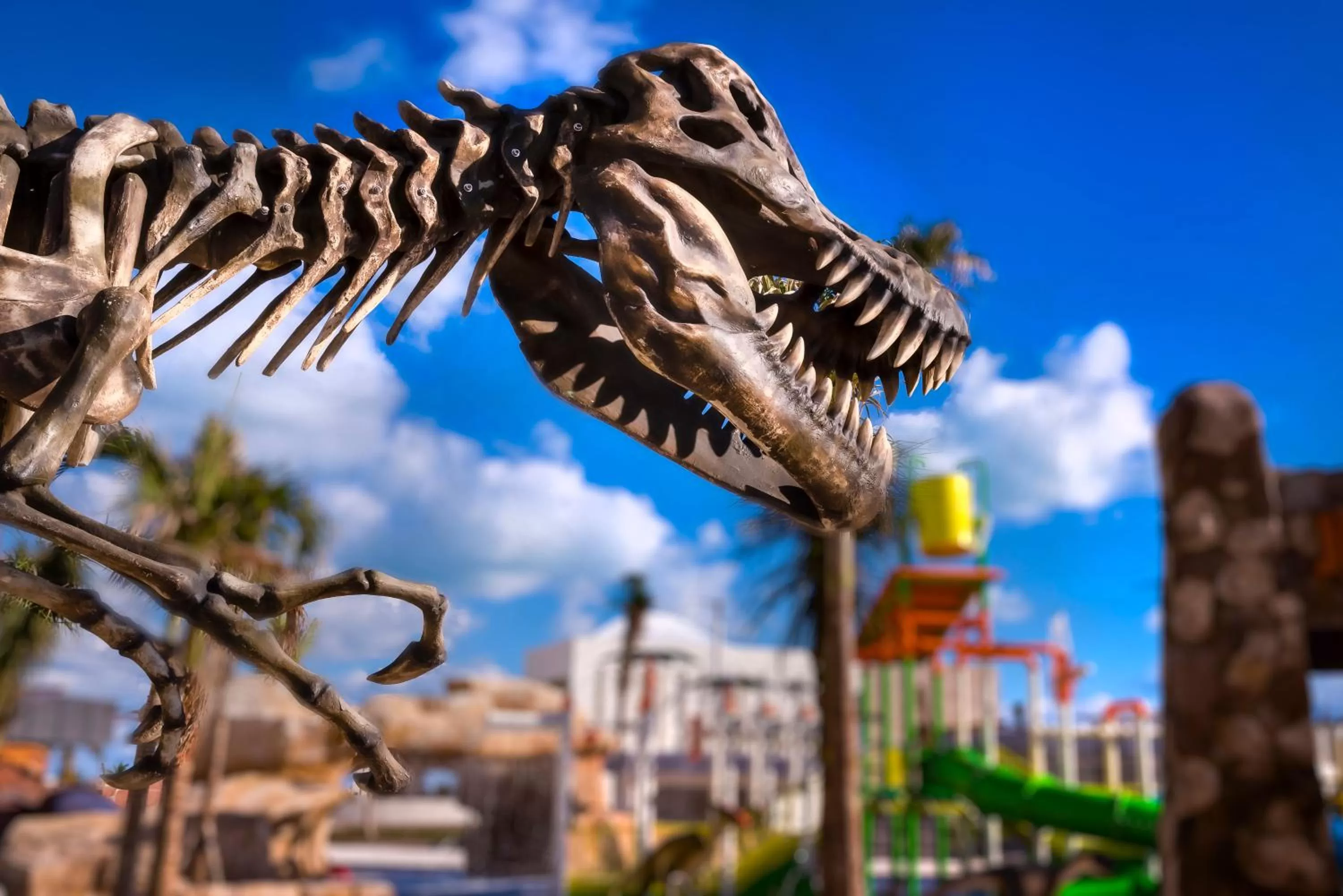 Aqua park in Planet Hollywood Cancun by Royalton, An Autograph Collection All-Inclusive Resort