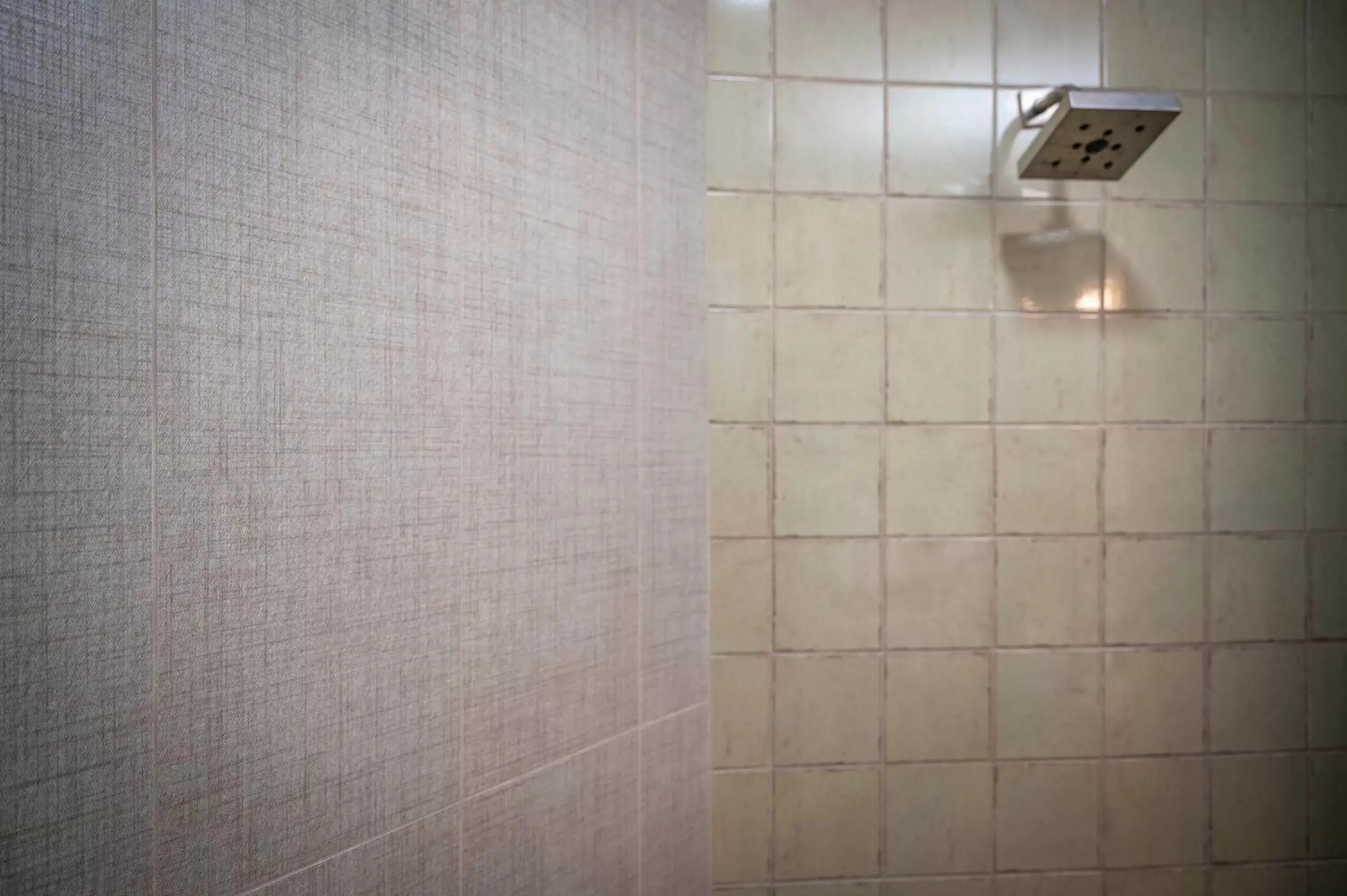 Shower, Bathroom in Hotel Broad Ripple