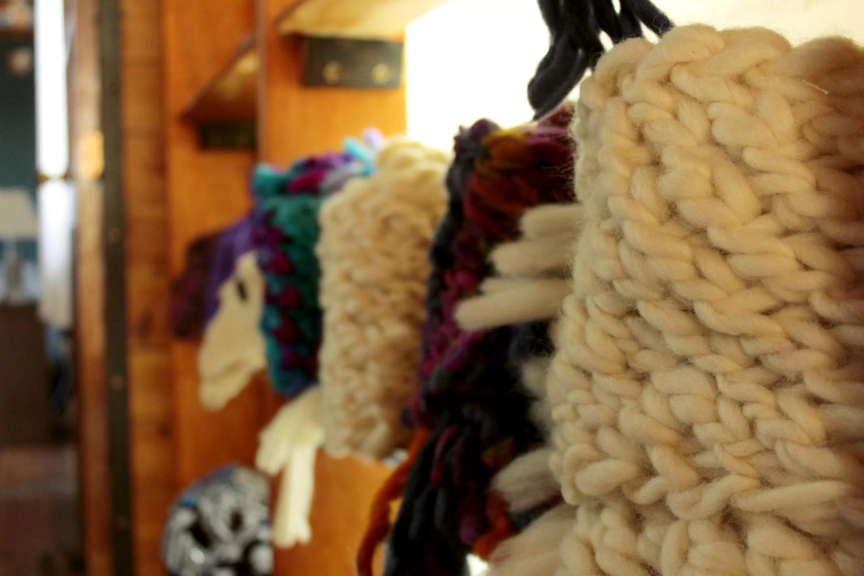 On-site shops in Hospedaje Isla Magdalena