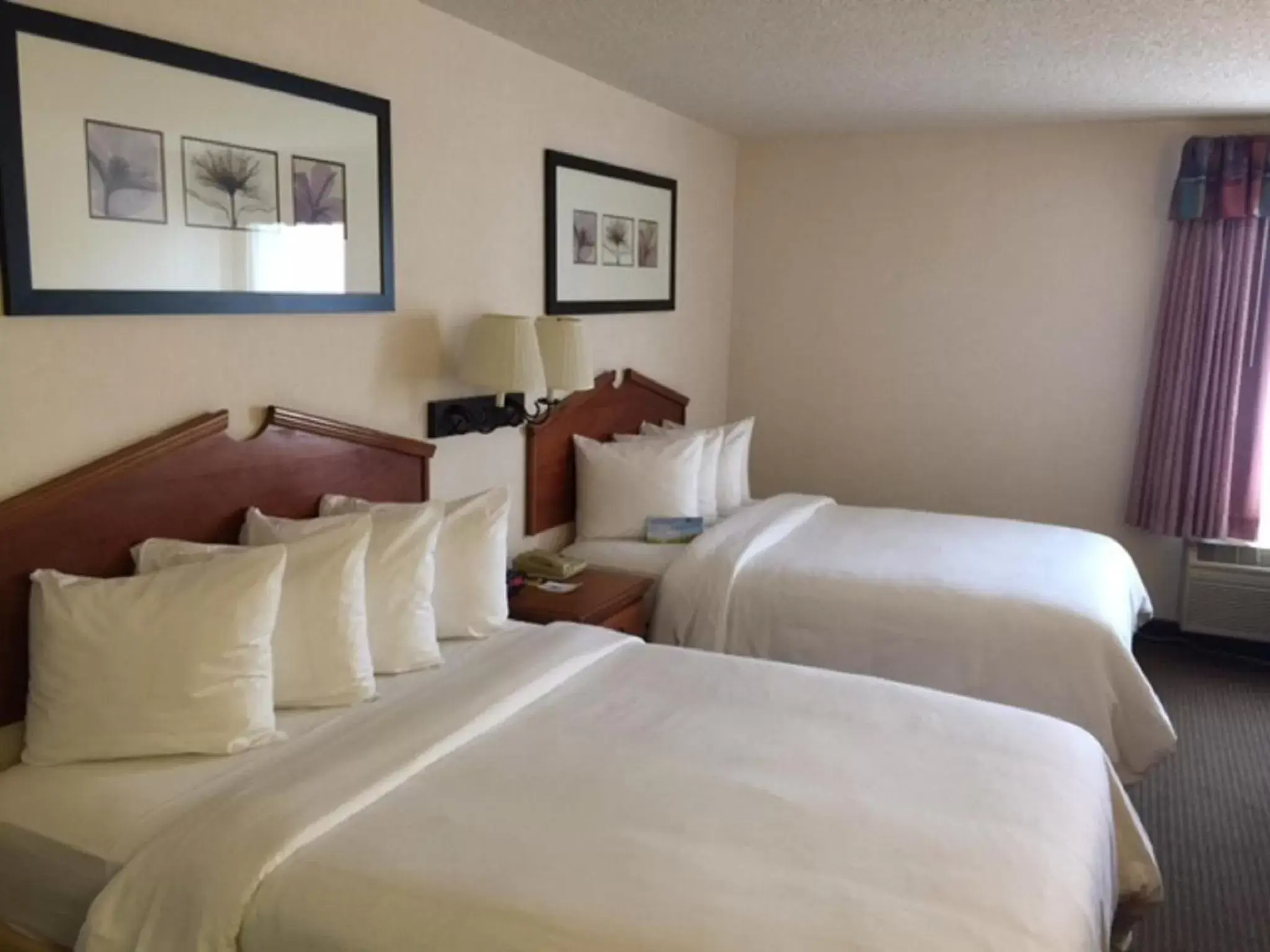 Photo of the whole room, Bed in Days Inn & Suites by Wyndham Denver International Airport