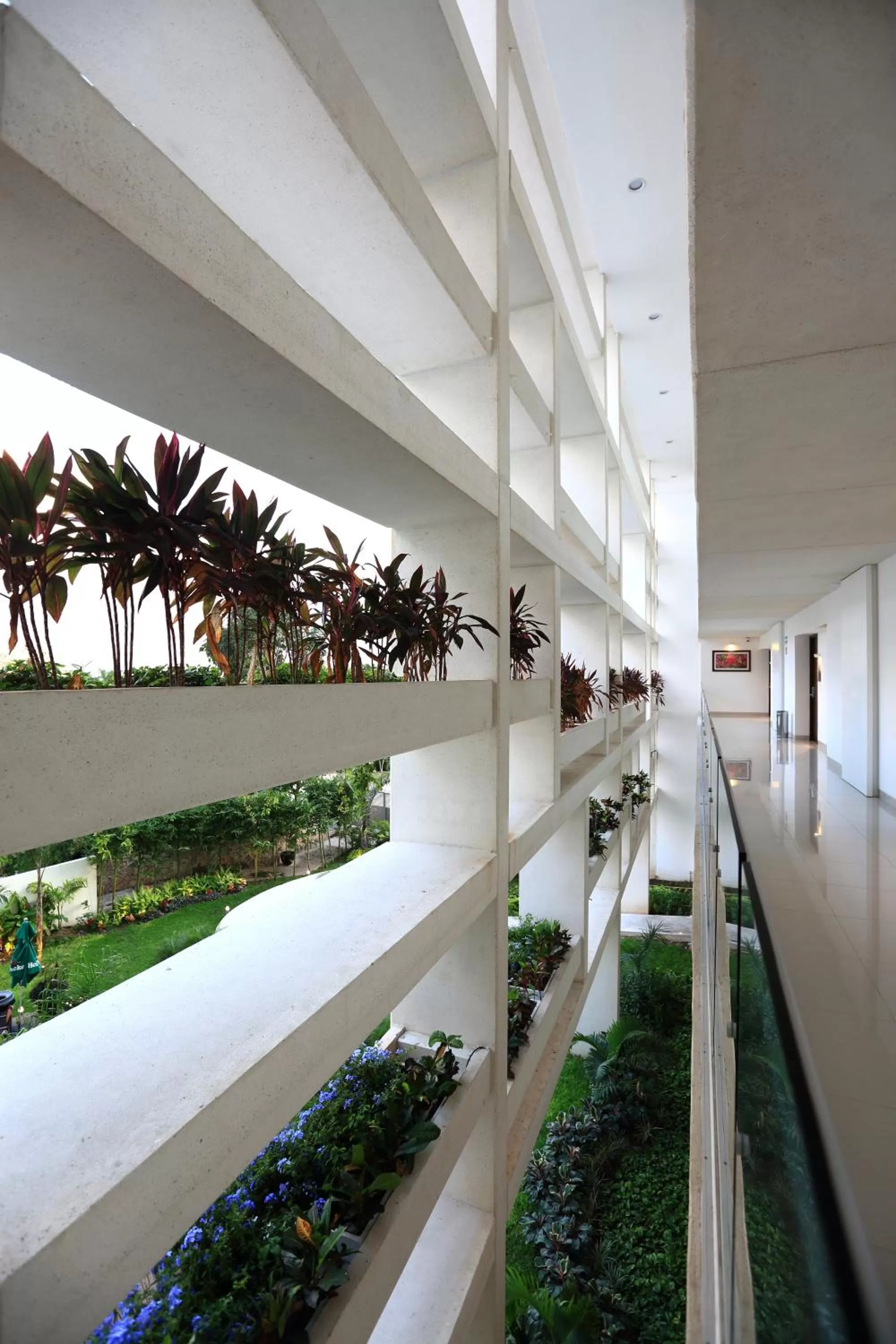 Garden in Mesón de la Luna Hotel & Spa