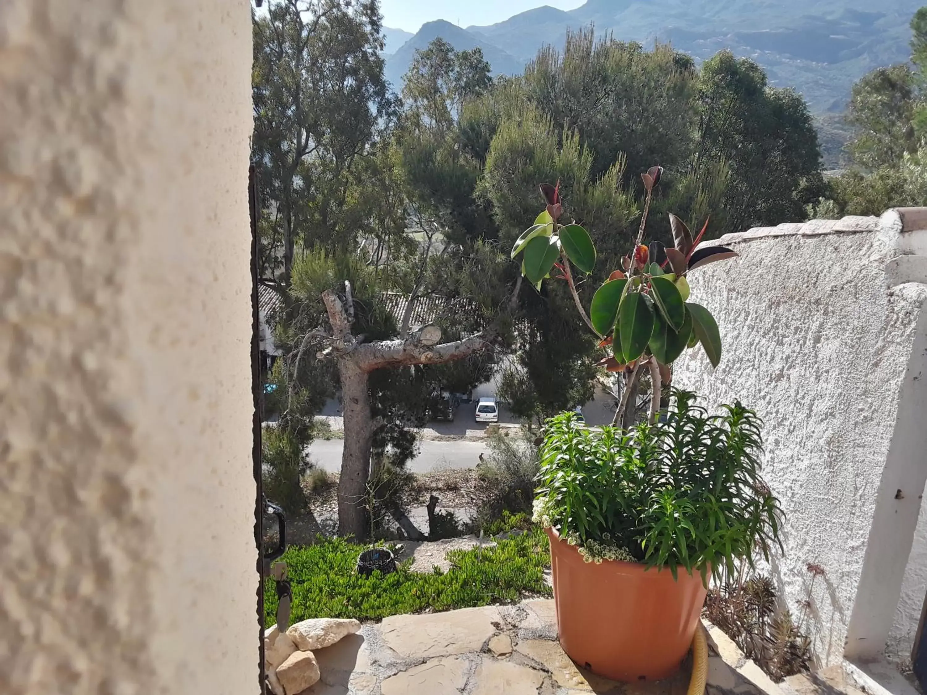 Garden view in Casa Rural B&B Casamedico