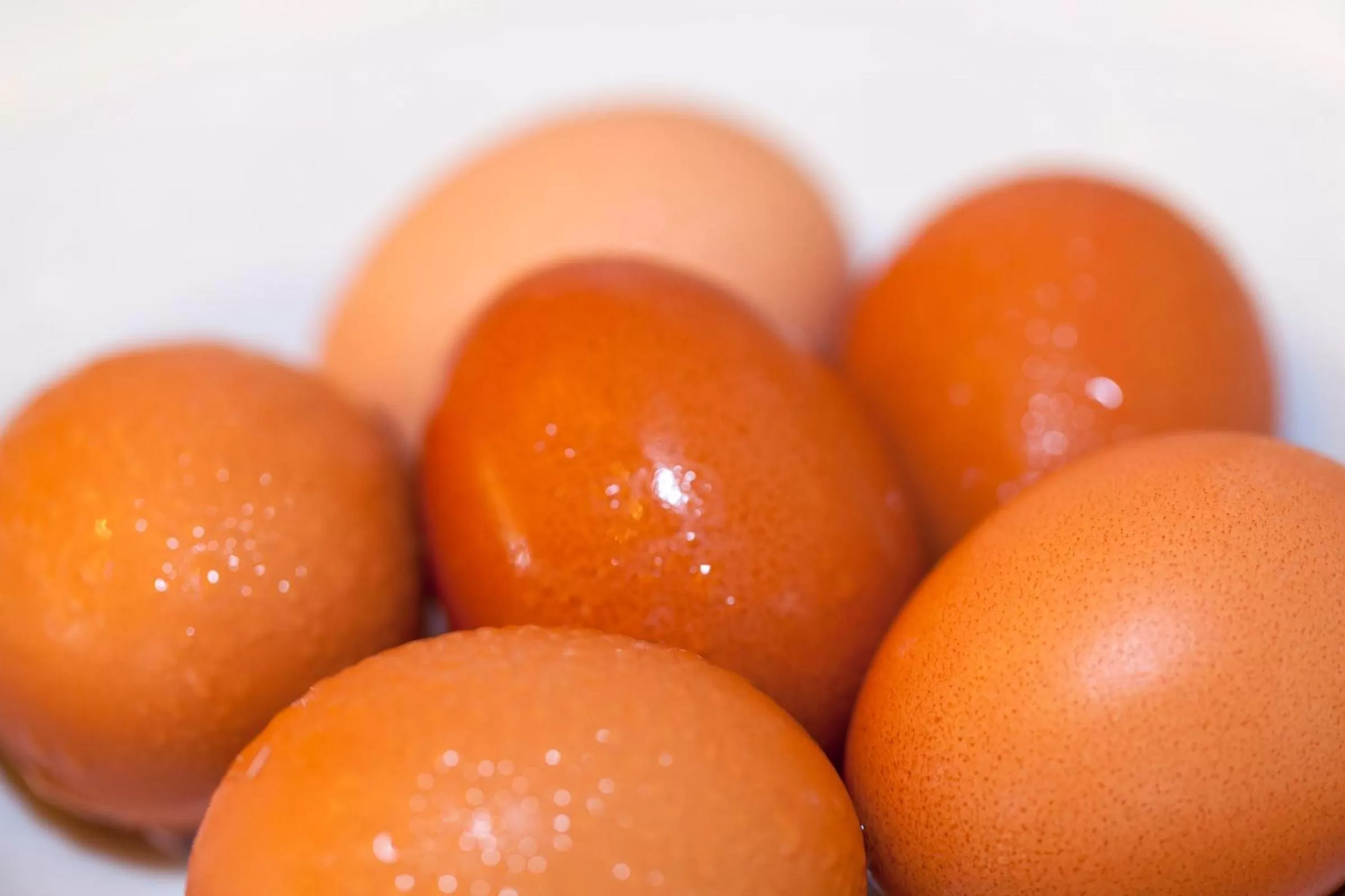 Food in Aparthotel Duquesa Playa