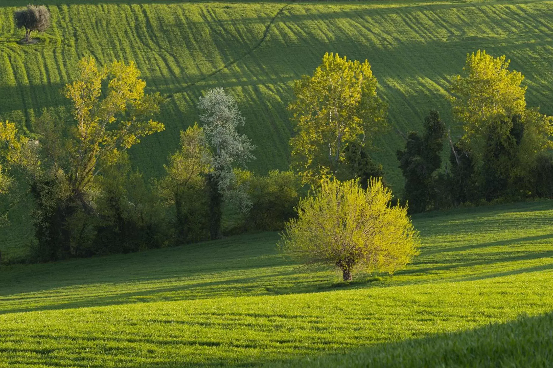 Spring, Garden in Relais Il Margarito