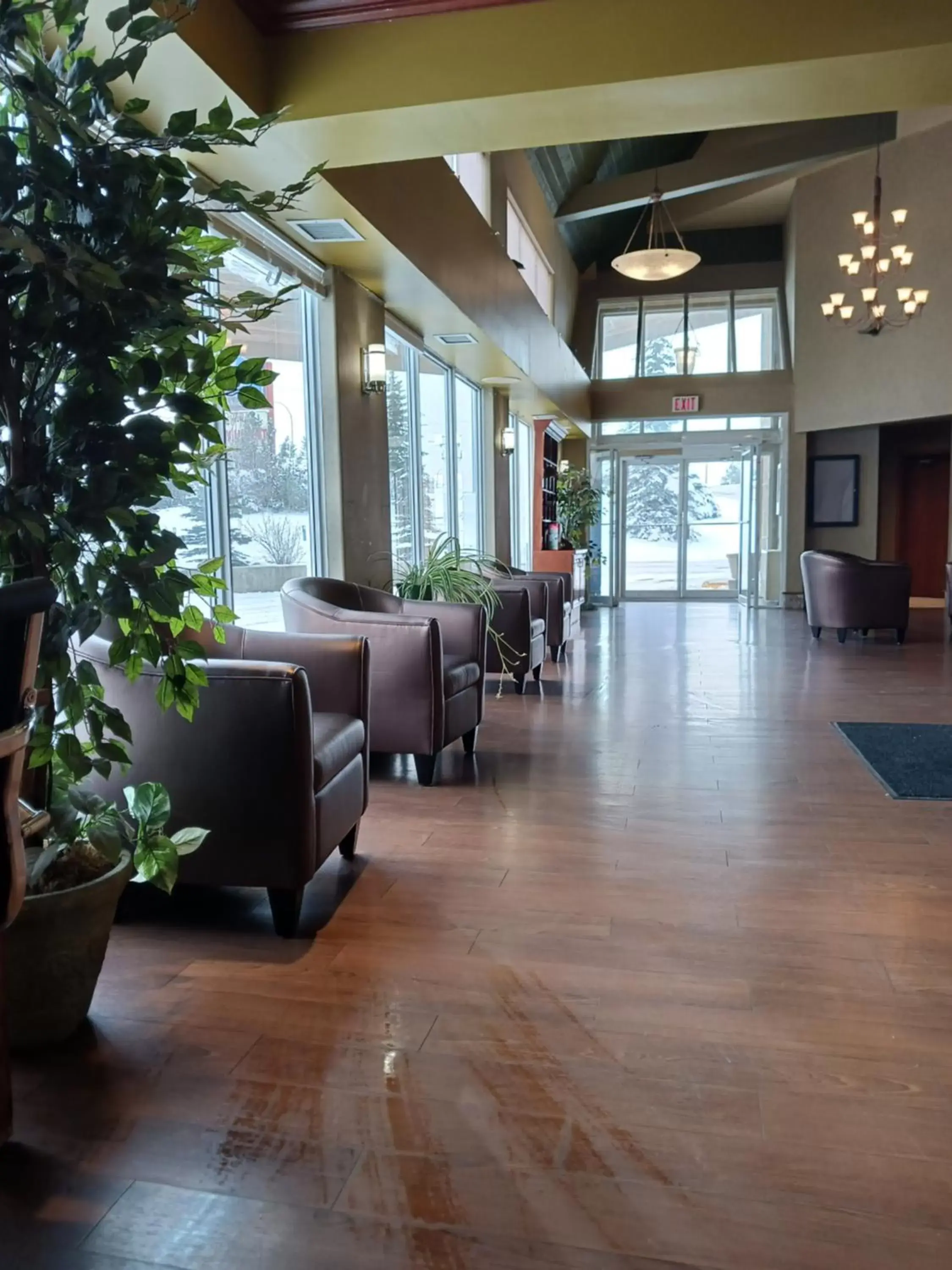 Lobby or reception in Lakeview Inns & Suites - Hinton