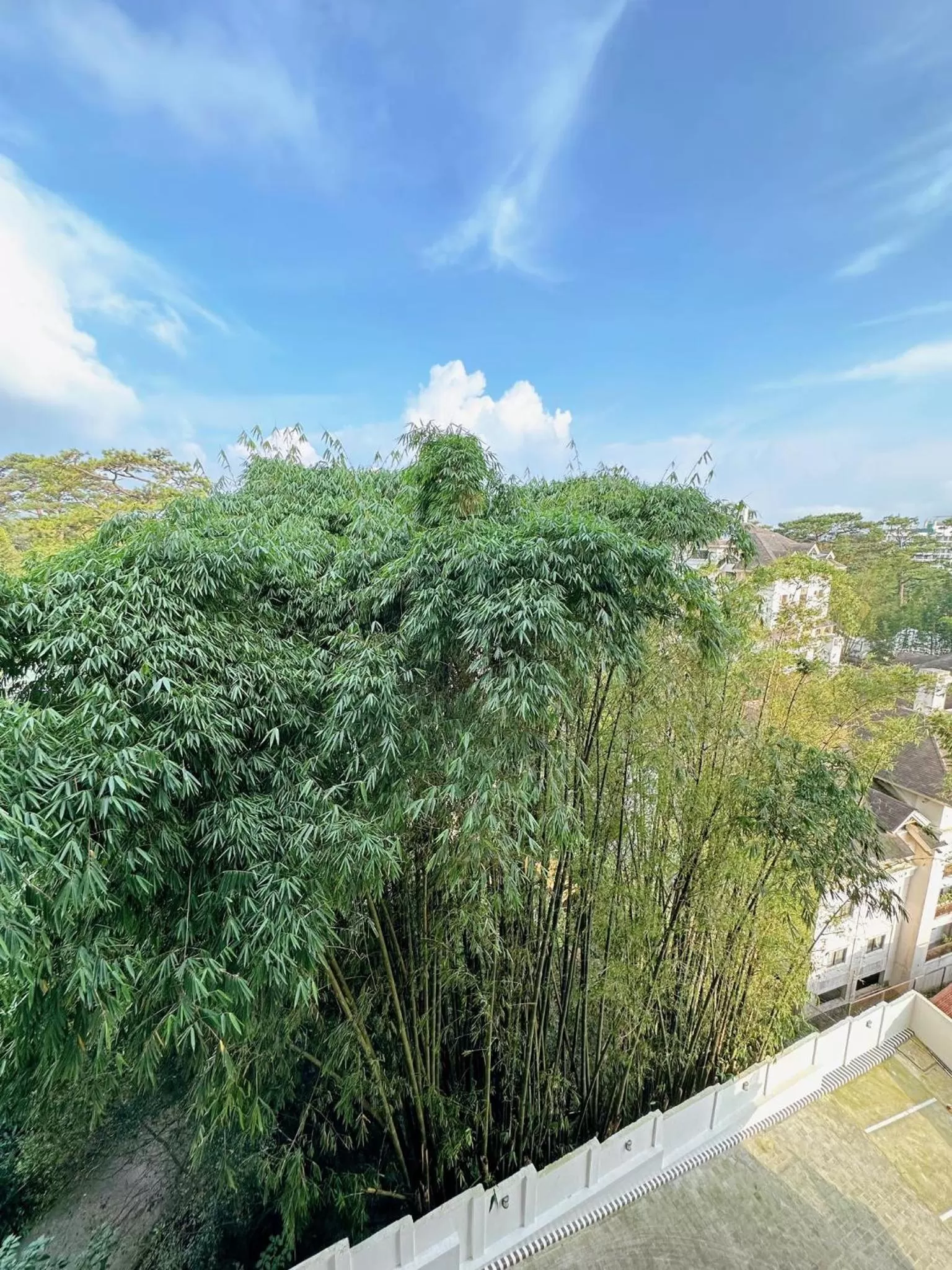 Luxury Suites at Brenthill Baguio City