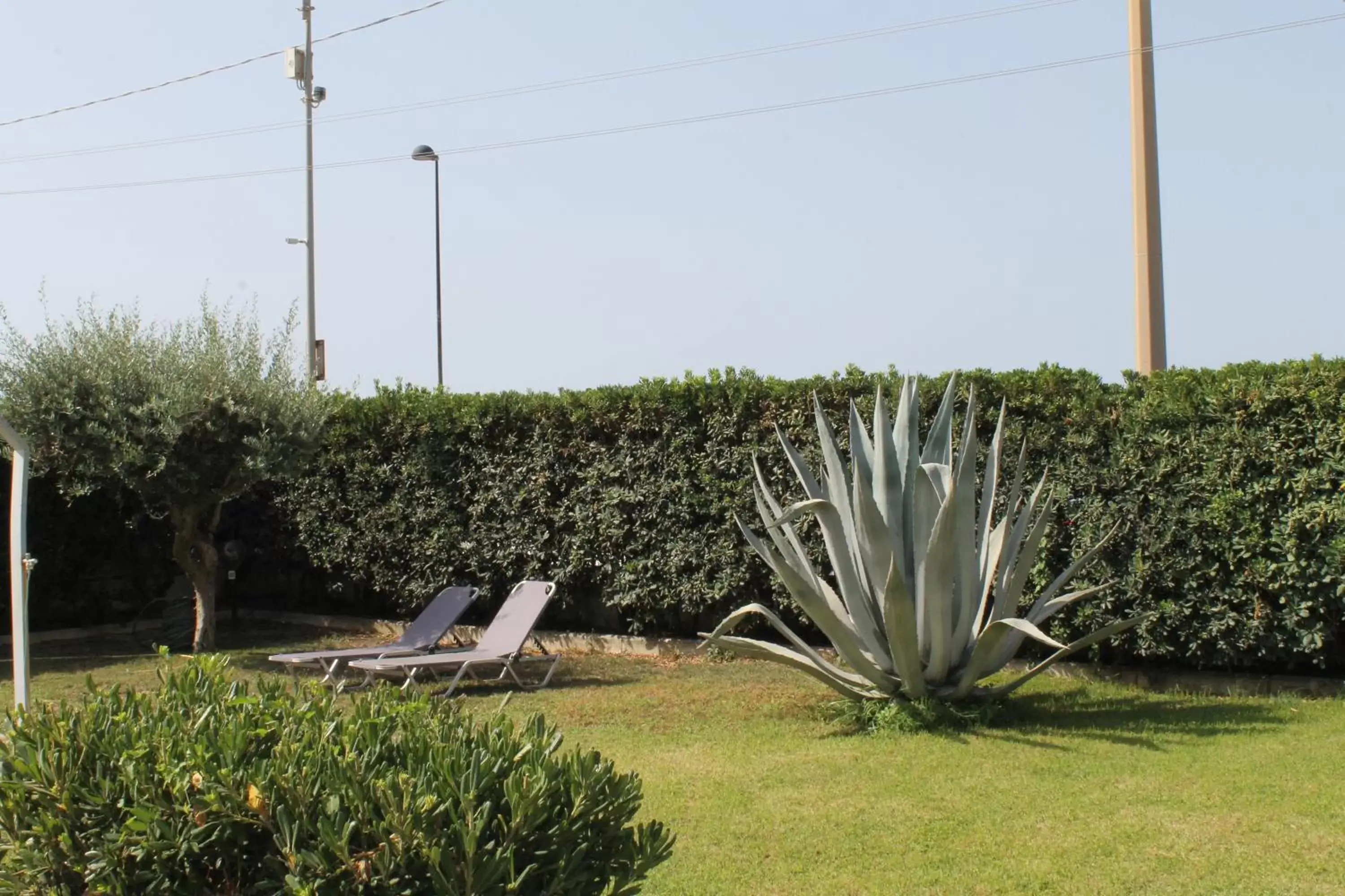 Garden in Villa Miramare