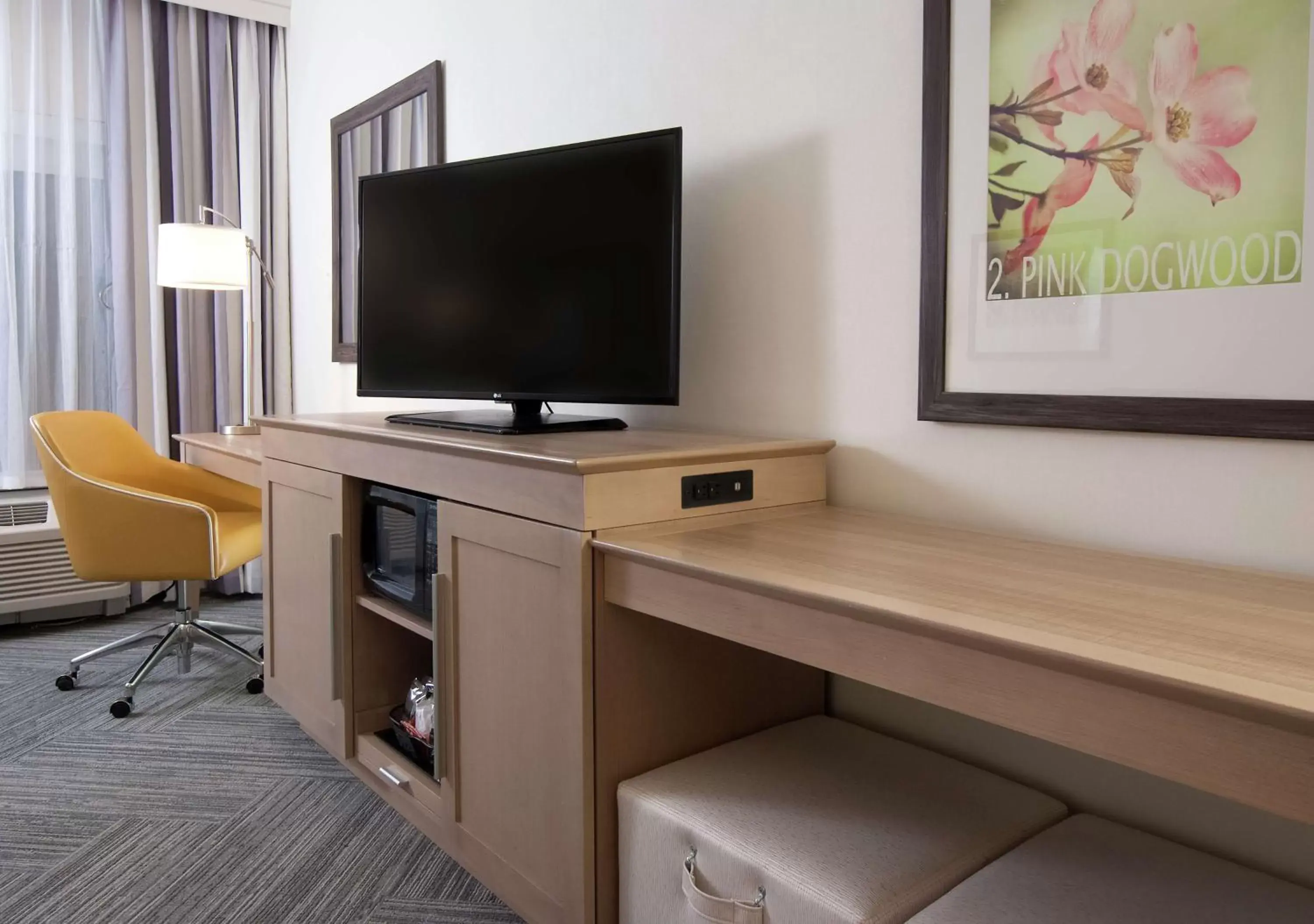 Bed, TV/Entertainment Center in Hampton Inn & Suites by Hilton Augusta-Washington Rd