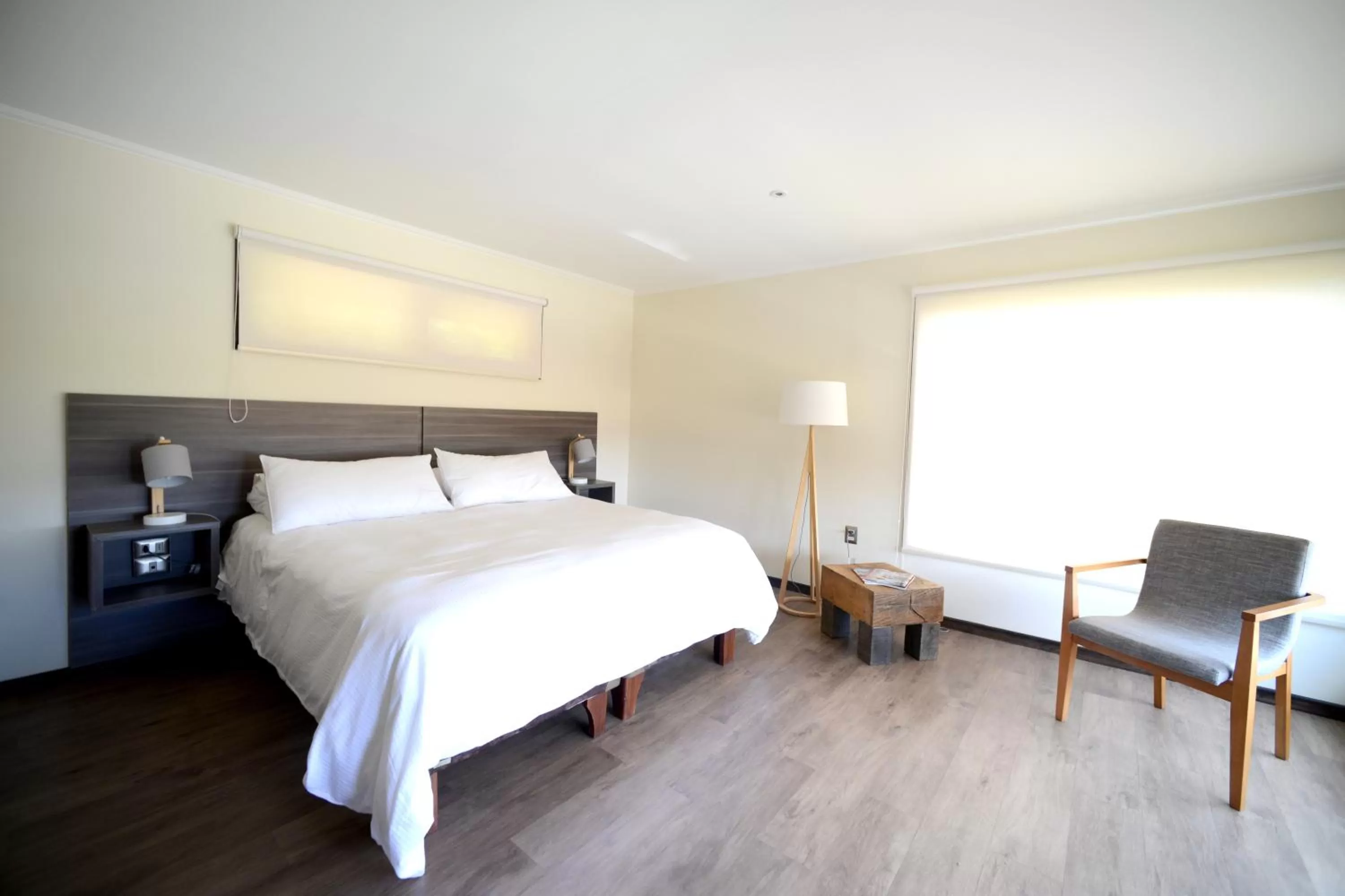 Bed in Hotel Patagonia B&B