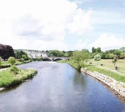 Area and facilities in Trout Hotel