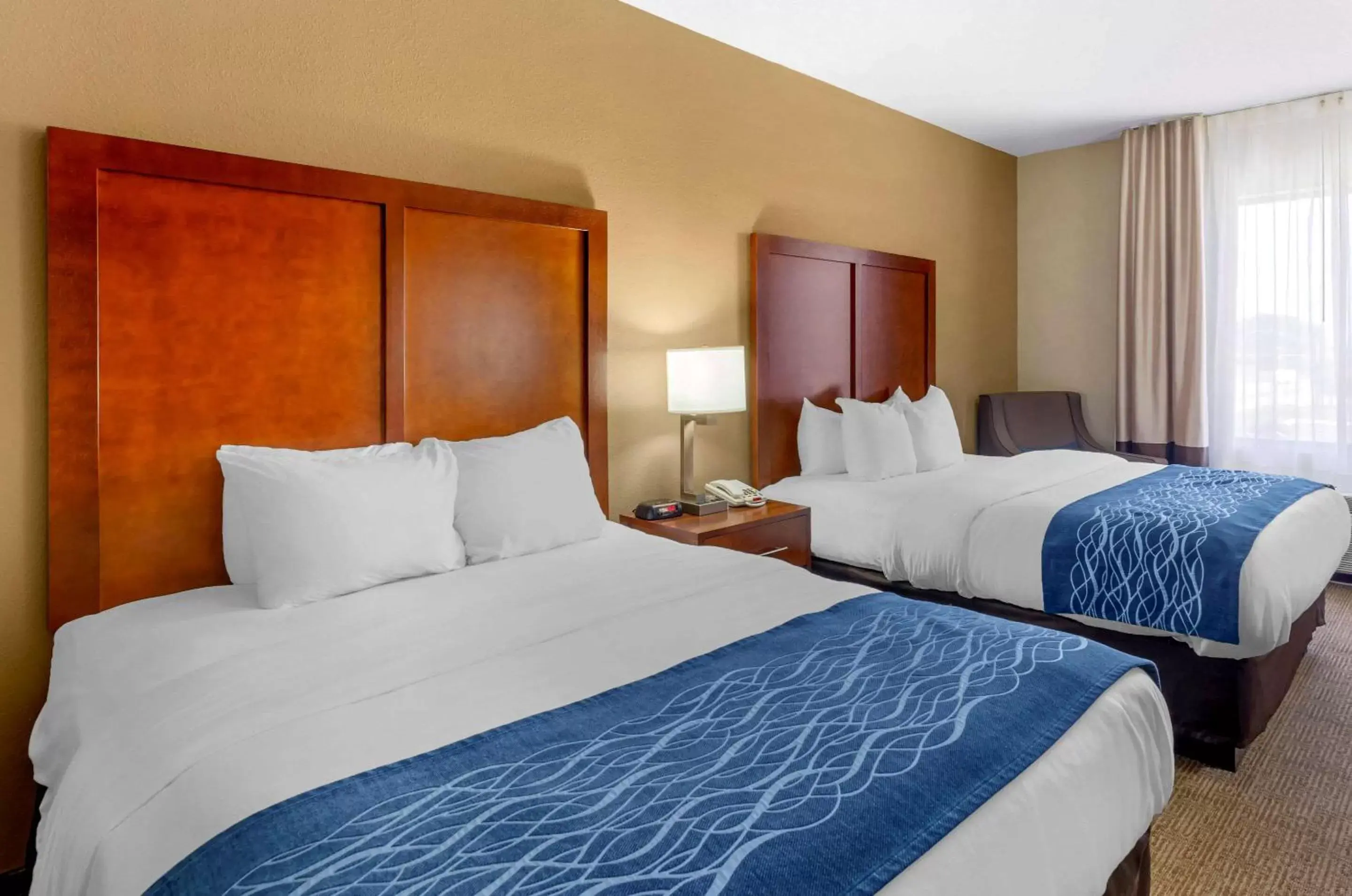 Photo of the whole room, Bed in Comfort Inn & Suites Lynchburg Airport - University Area