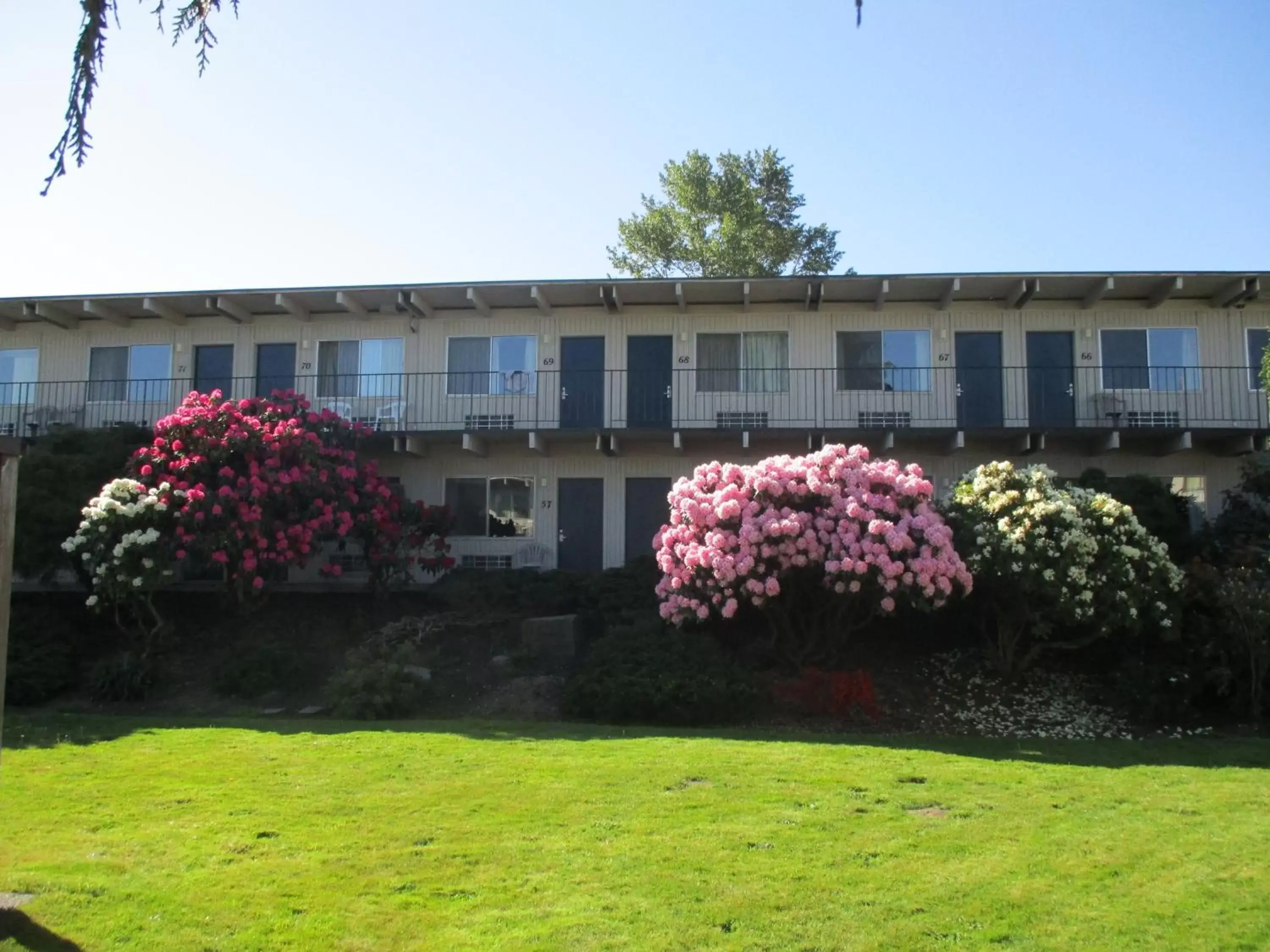 Garden, Property Building in Cocusa Motel