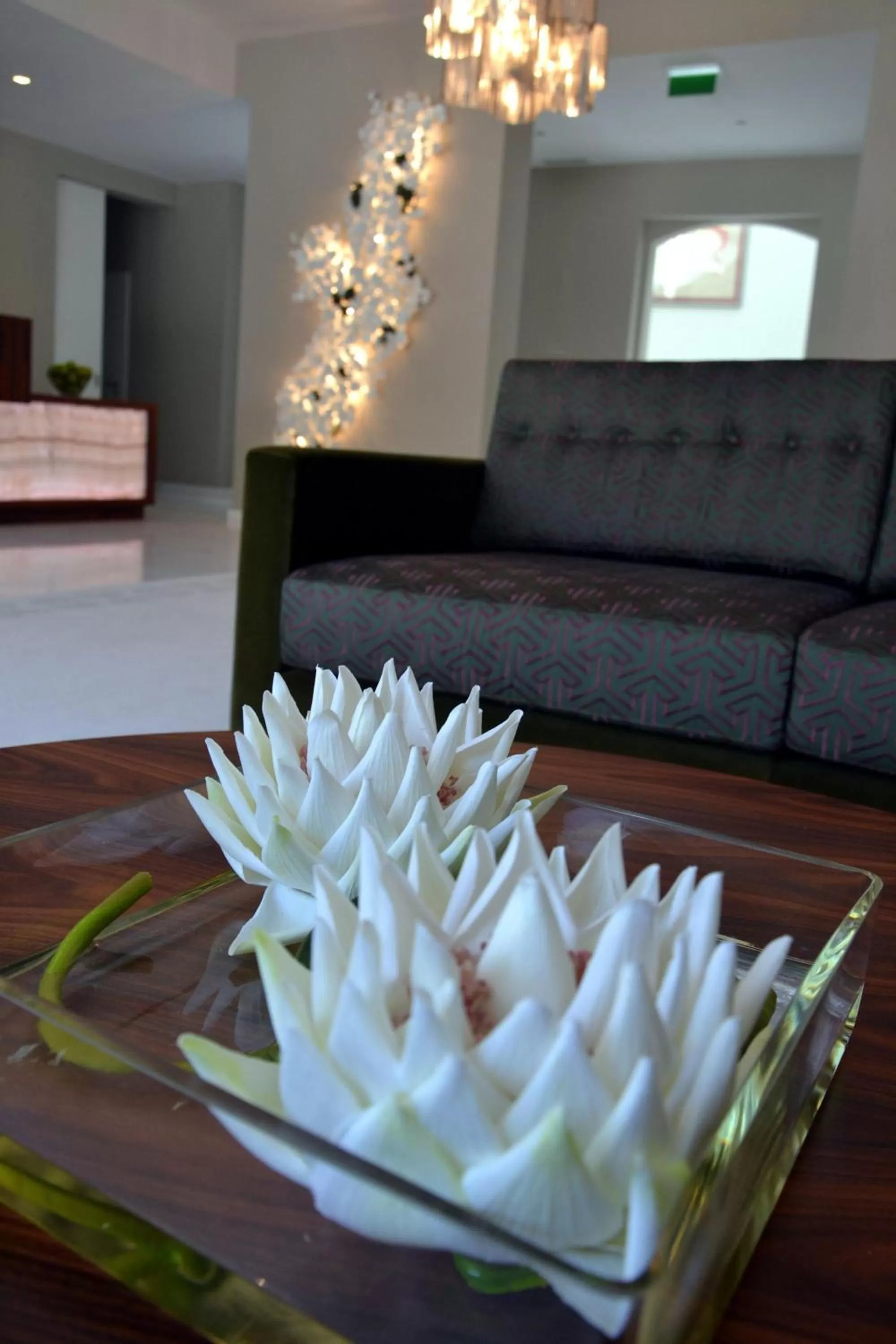 Lobby or reception in Hotel do Parque