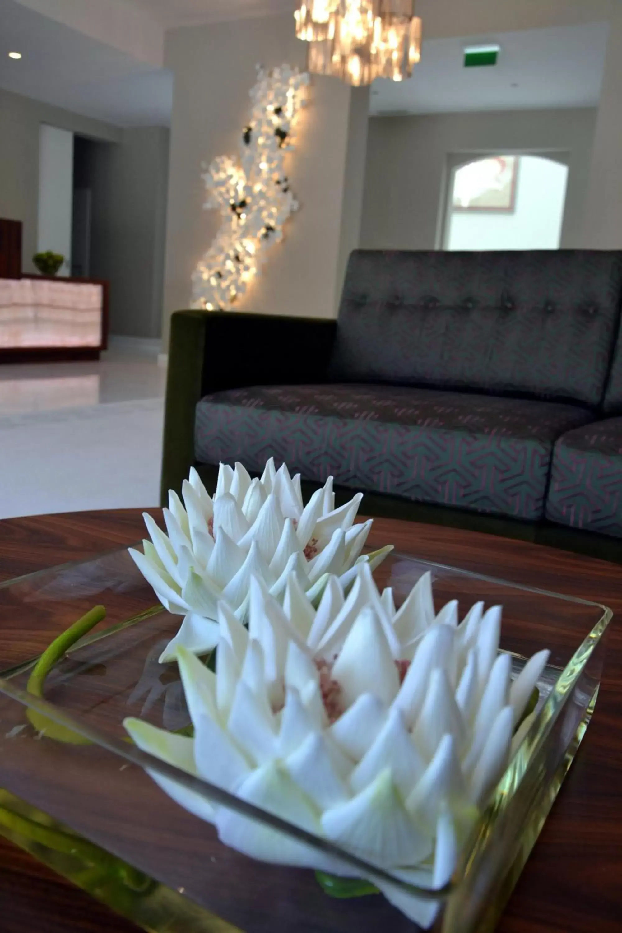 Lobby or reception in Hotel do Parque Lobby or reception in Hotel do Parque