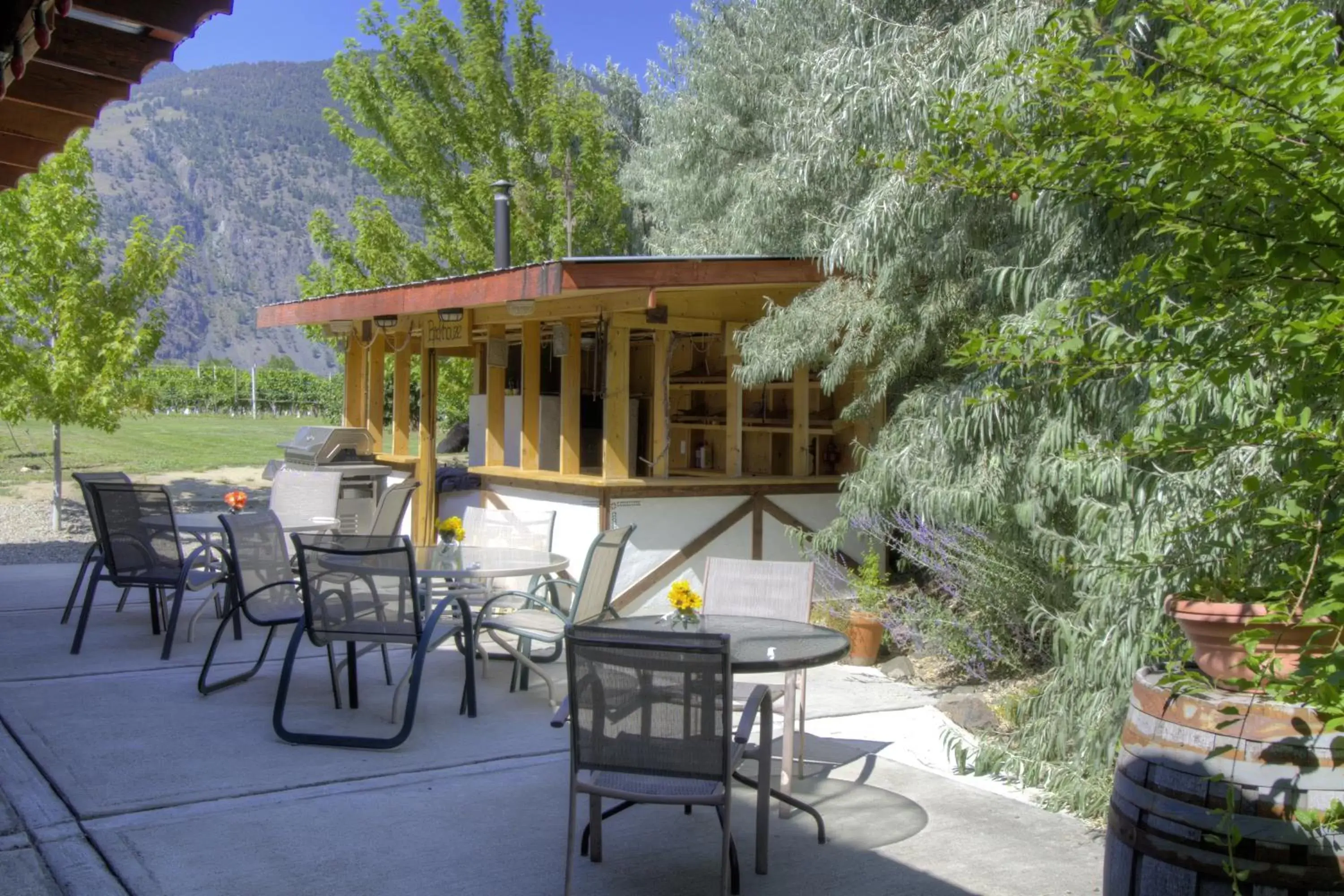 Patio in Crowsnest Vineyards Guesthouse