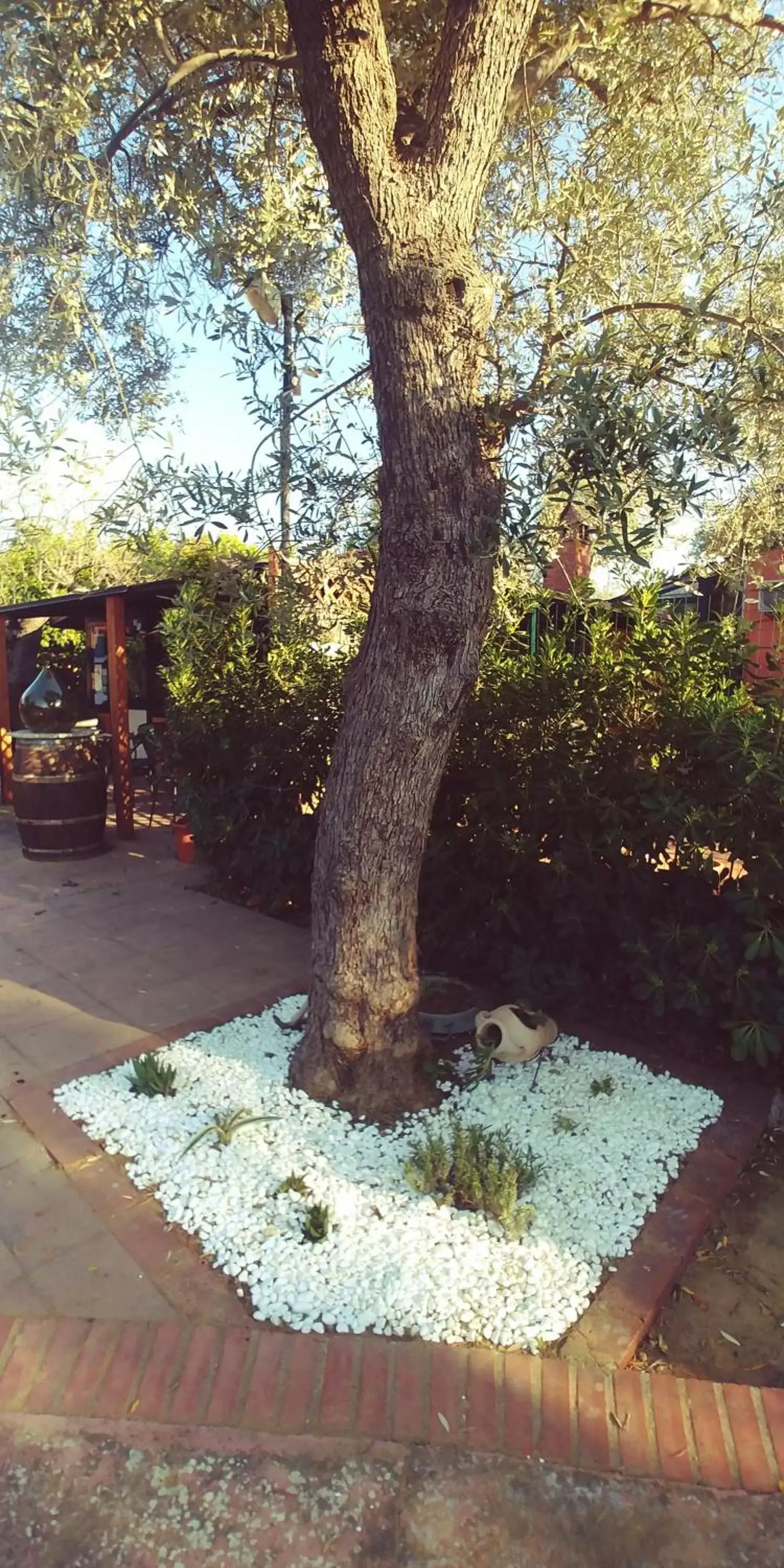 Garden in La Piana degli Ulivi