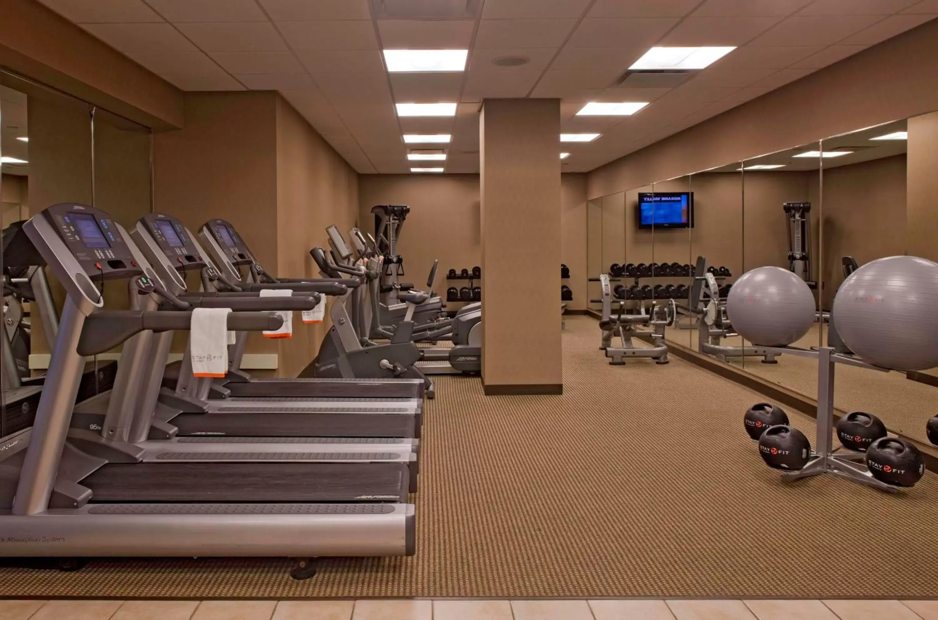 Fitness centre/facilities, Fitness Center/Facilities in Hyatt Regency Lisle near Naperville