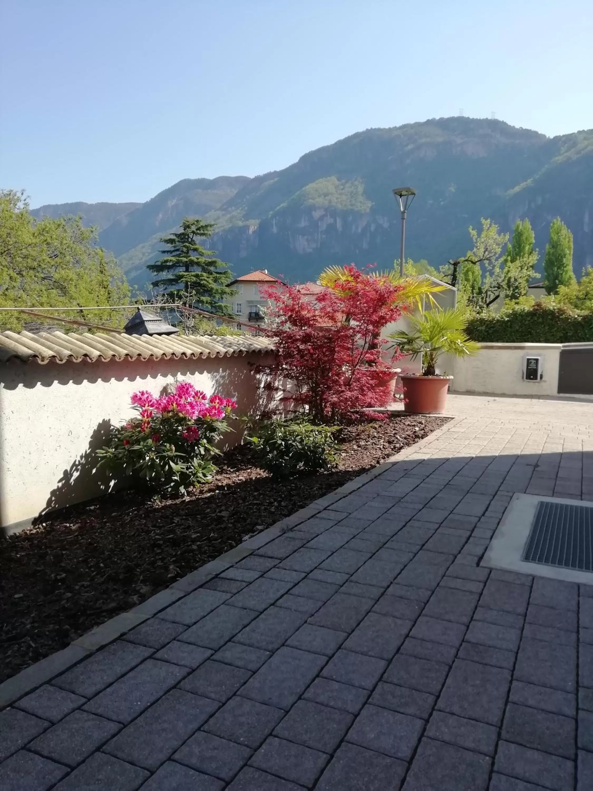 Mountain View in Apartment Residence Veronika