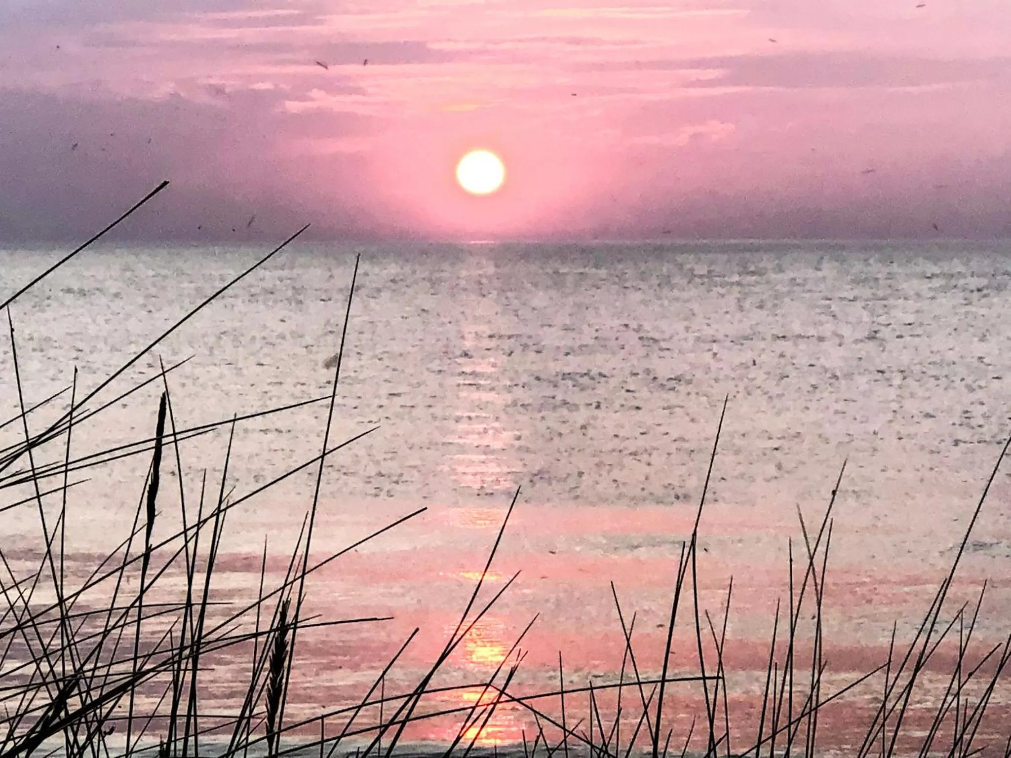 Natural landscape in Norfolk Accommodation