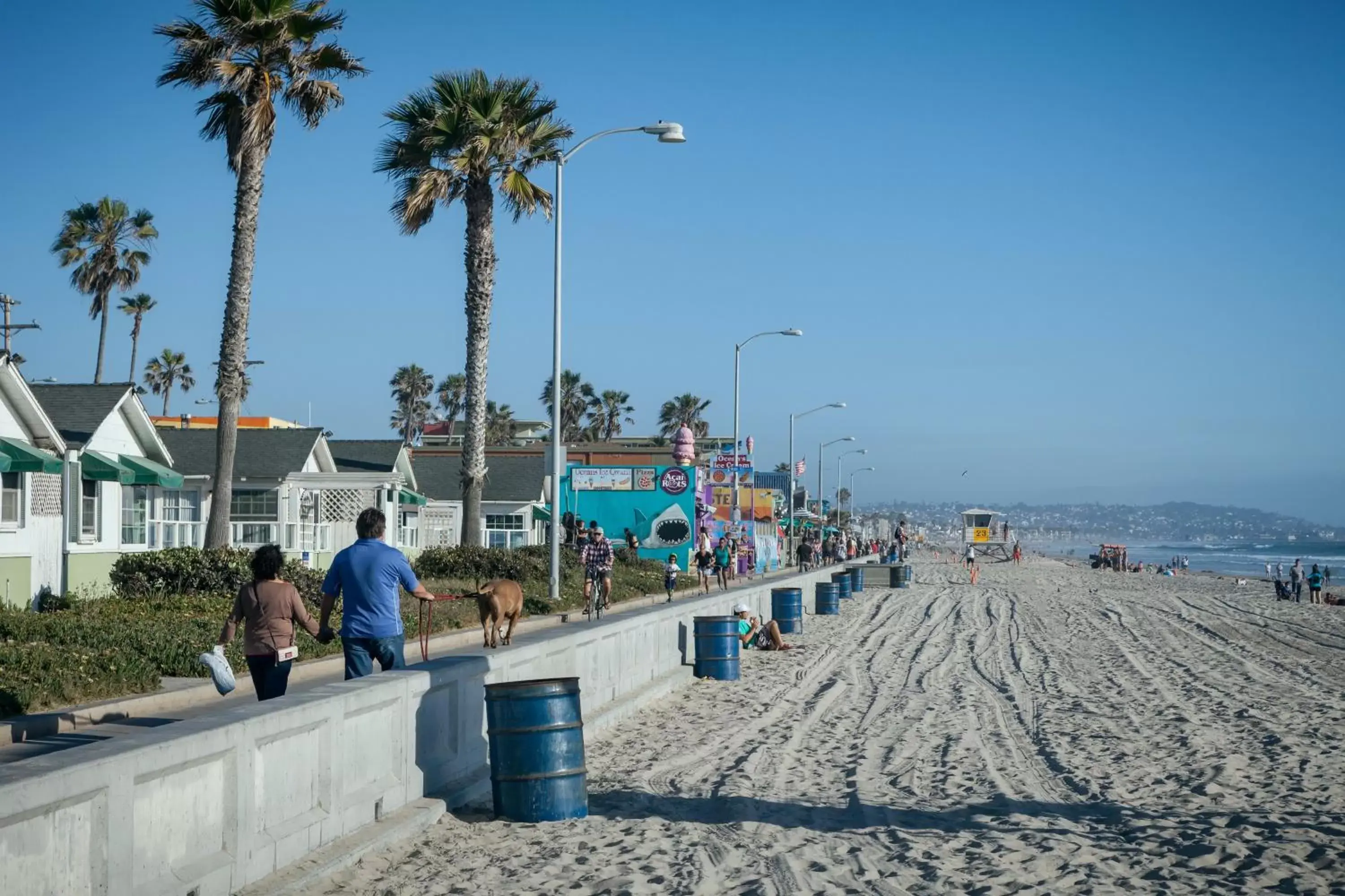 Natural landscape in PB Surf Beachside Inn