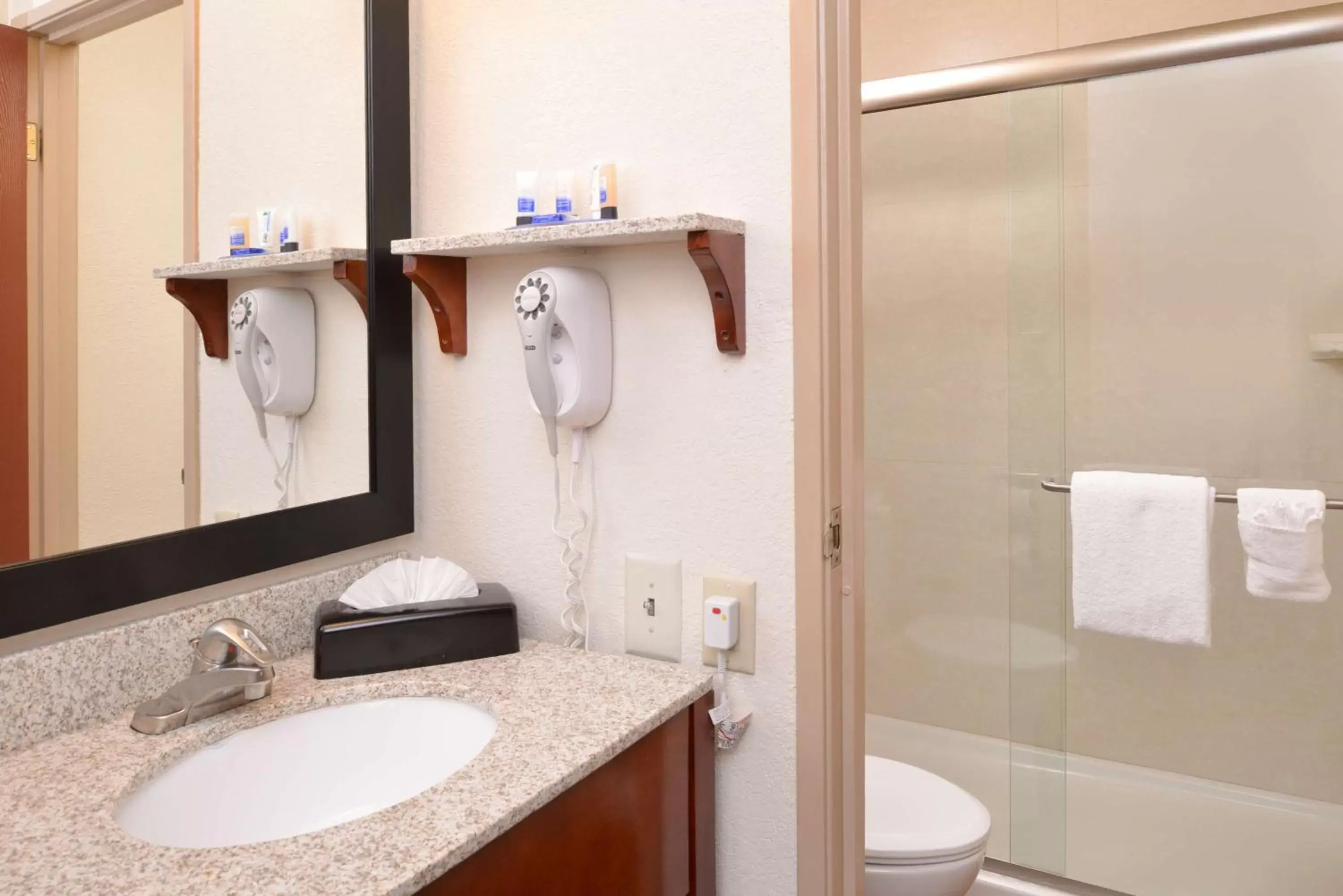 Photo of the whole room, Bathroom in Best Western Executive Inn & Suites