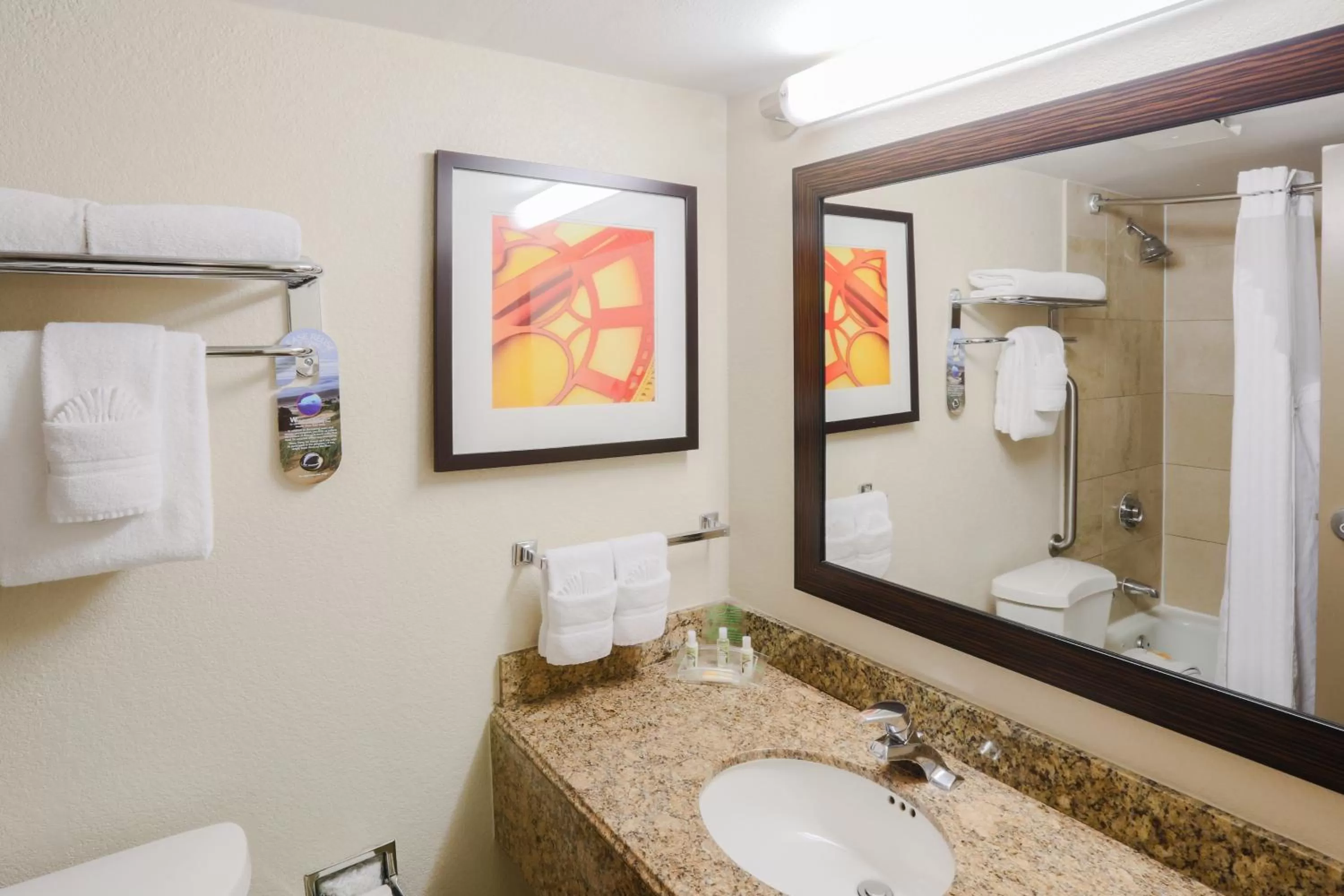 Bathroom in Holiday Inn Austin Midtown by IHG