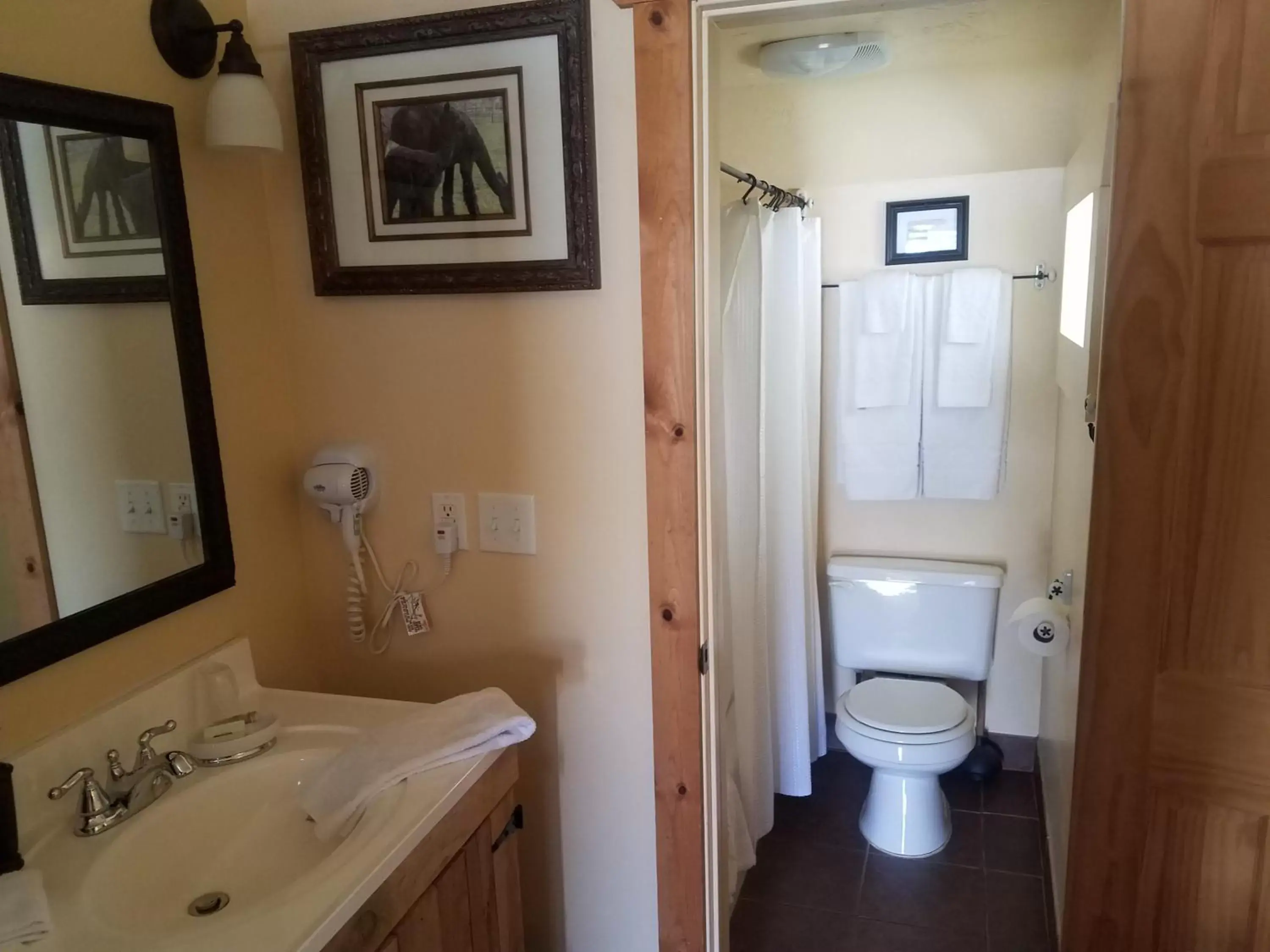 Bathroom in Alpaca Inn