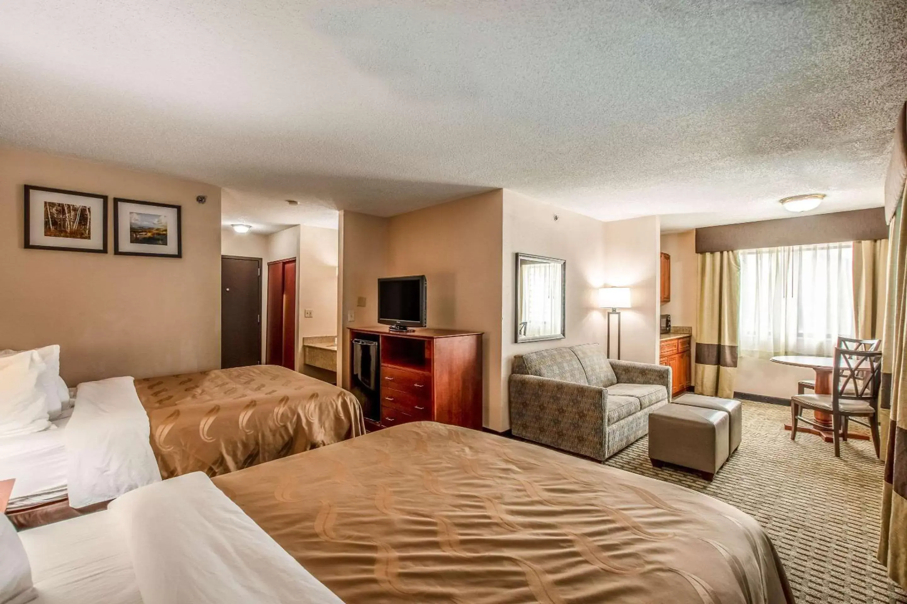 Photo of the whole room, Room Photo in Quality Inn & Suites